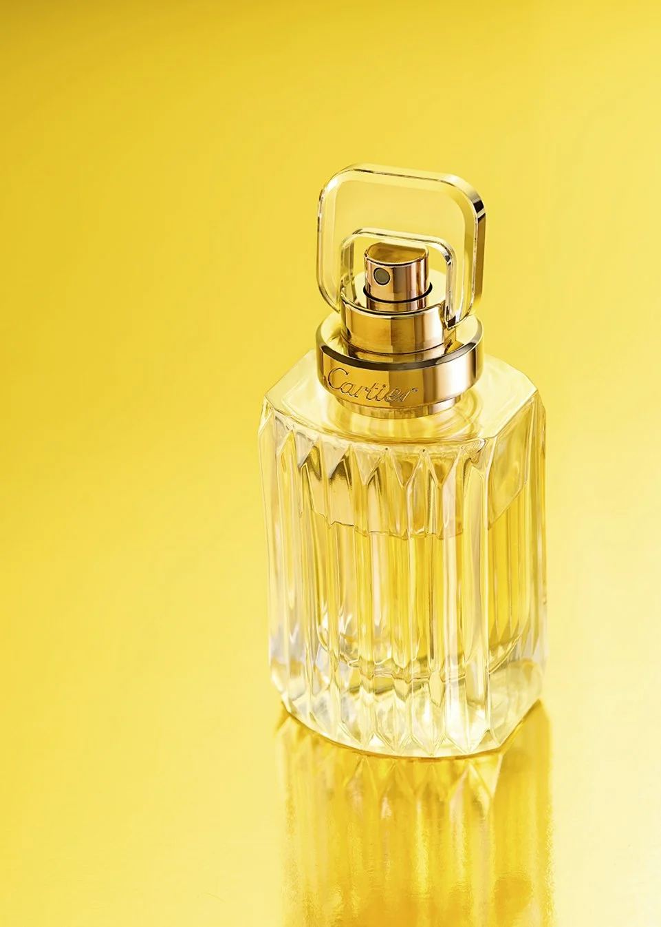 Img0494_01 Kopie.jpg