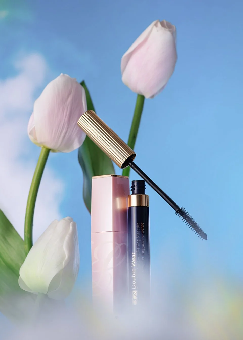 Img1908_01 copy.jpg