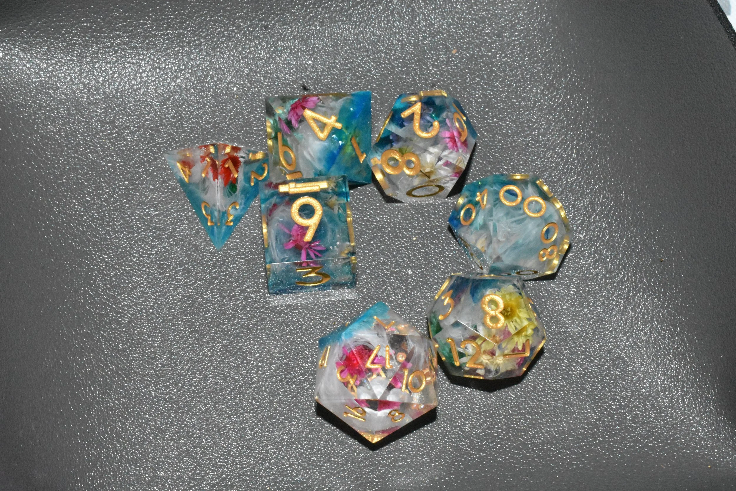 DSC_0012.JPG