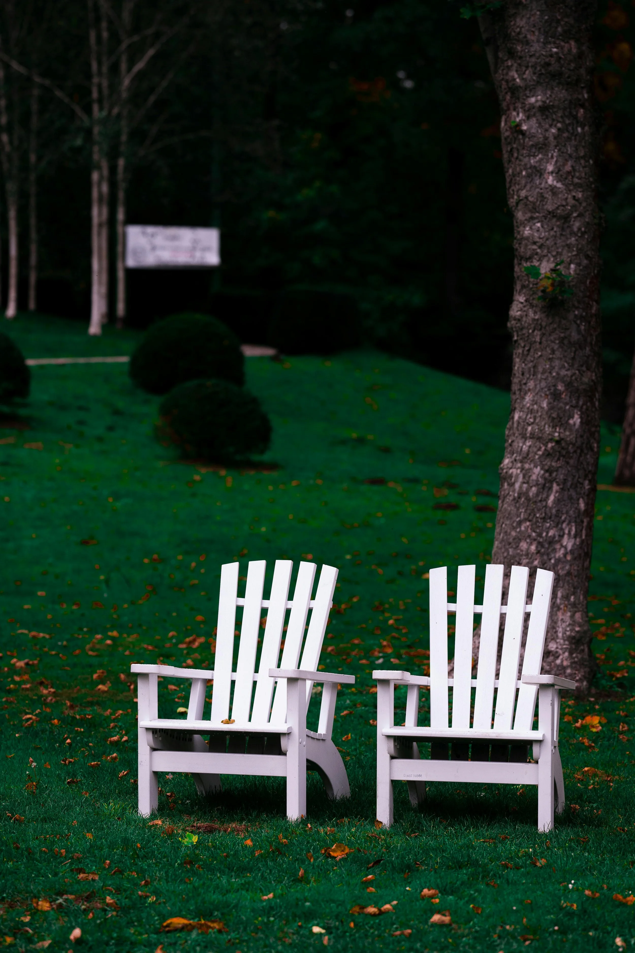 Quiet garden space with seating designed for private therapy conversations