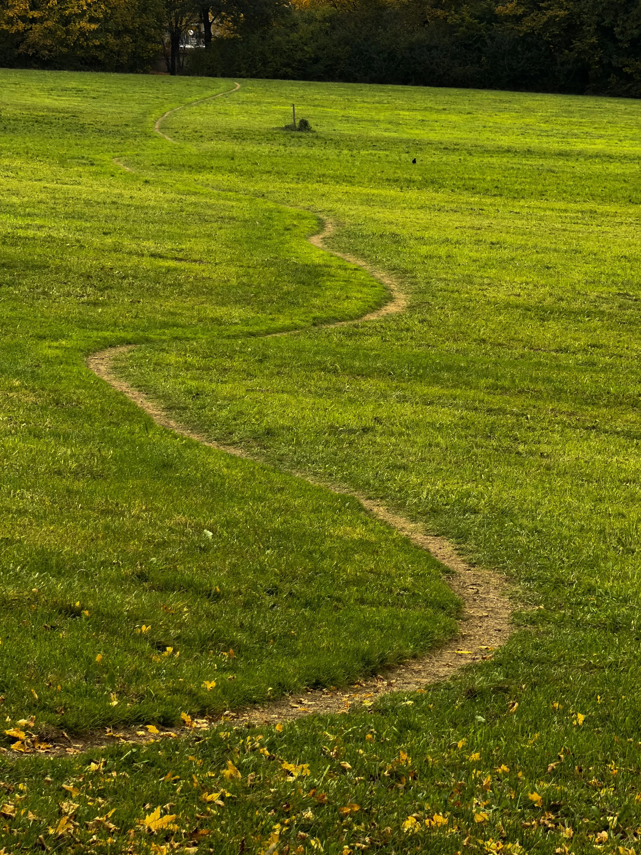 Winding path symbolising the recovery journey in counselling and support