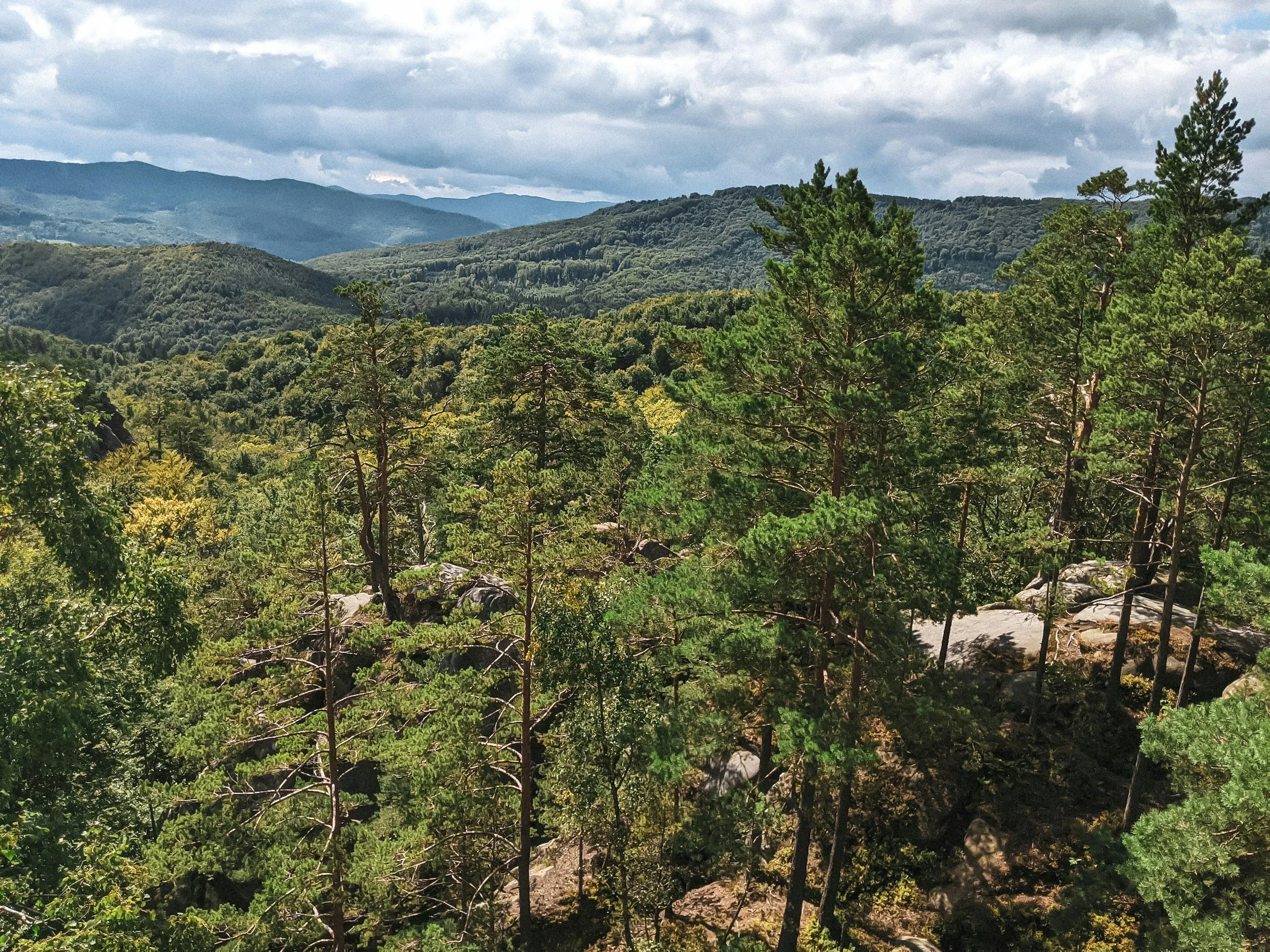 A scenic view of a forested mountain landscape with blue mountains in the distance under a cloudy sky.