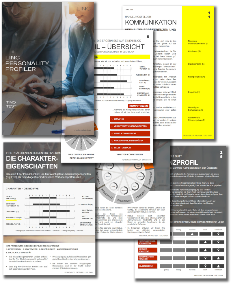 HR-talentmentor-Ergebnisreport-LPP