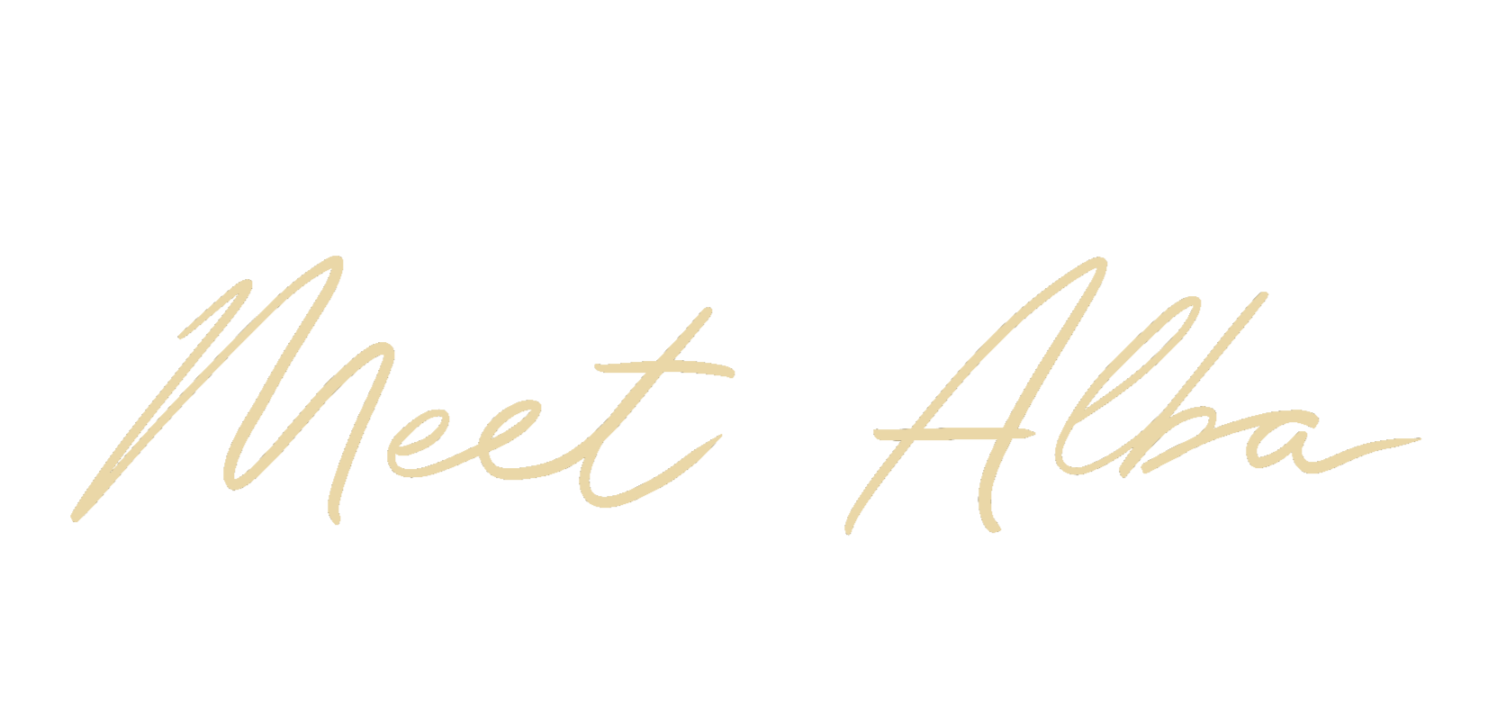 Text that reads 'Next Alaska' in beige cursive font on a black background.