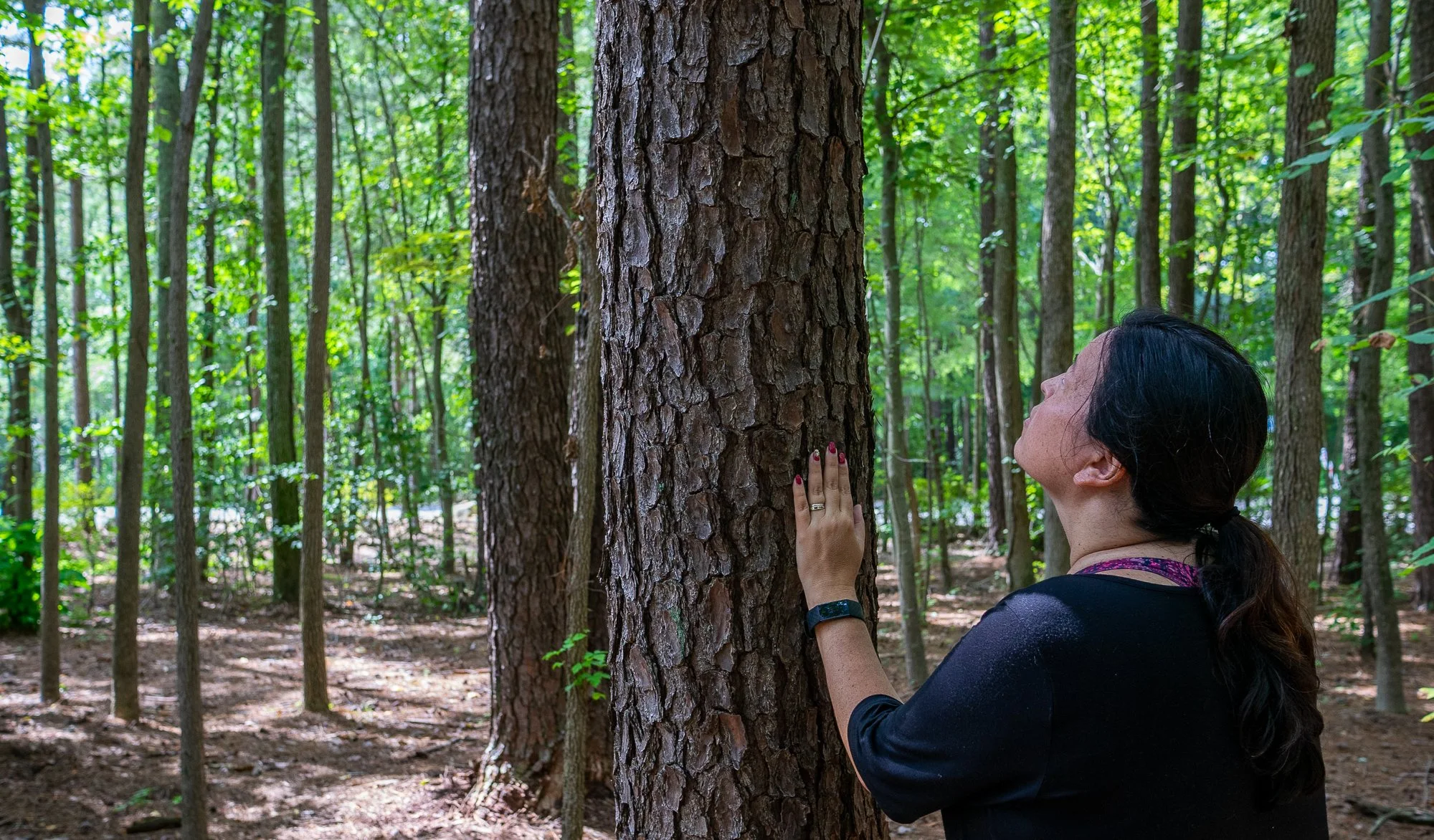 A woman with dark hair, wearing a purple and black shirt, hugging a large tree in a green forest.
