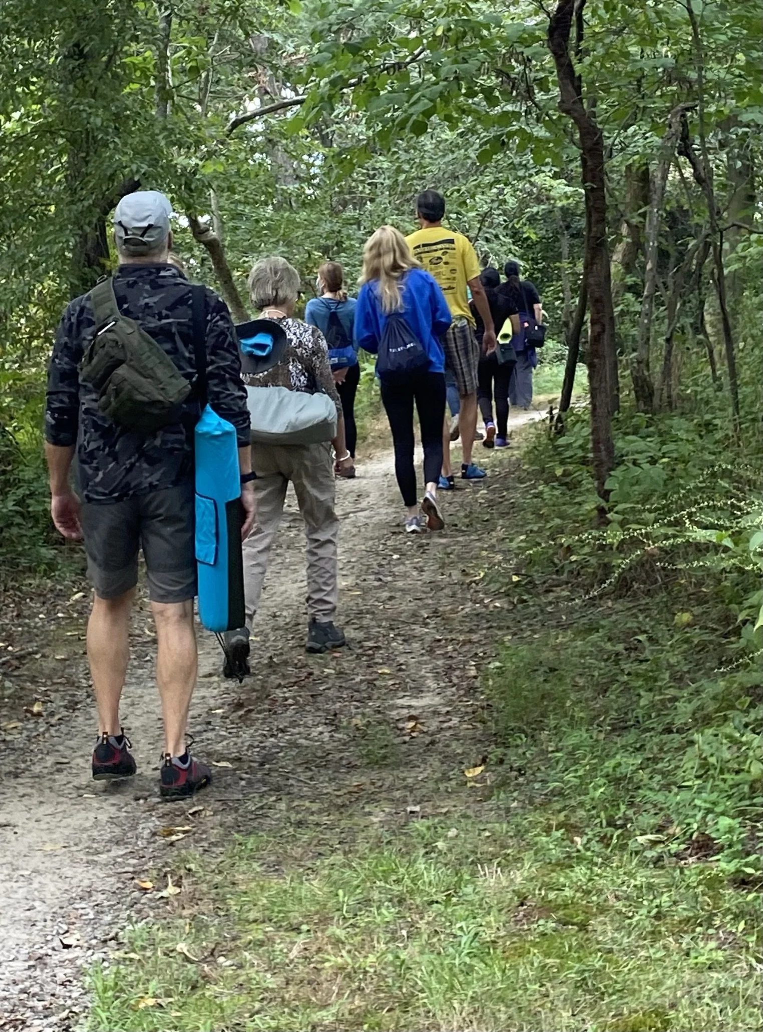 A group of people hiking on a forest trail surrounded by green trees.