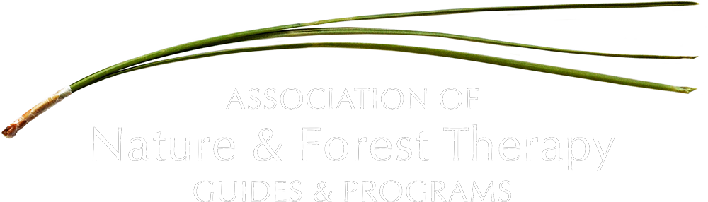 Part of the logo for the Association of Nature & Forest Therapy Guides & Programs, featuring green foliage and text.