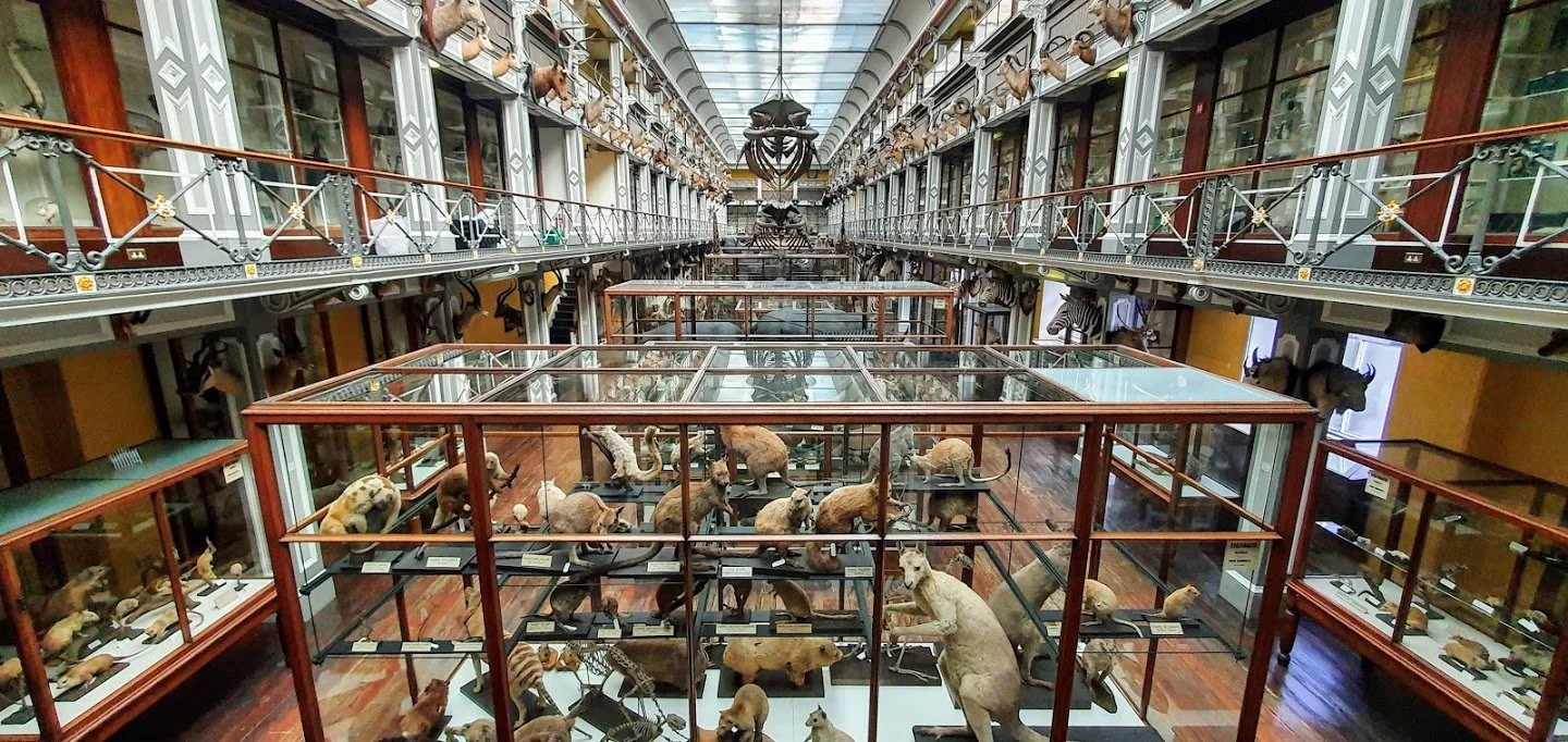 dead-zoo.jpg