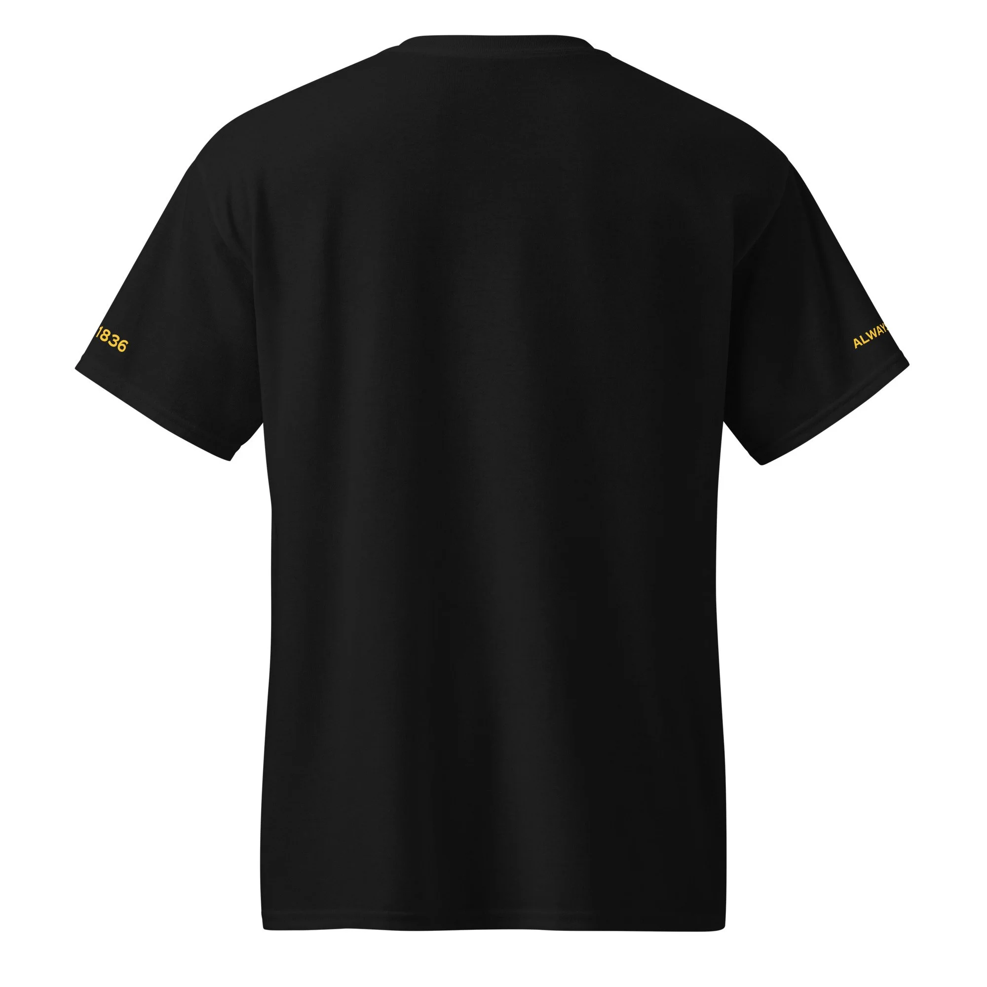 unisex-sports-tee-black-back-69dd014eba3c7.jpg