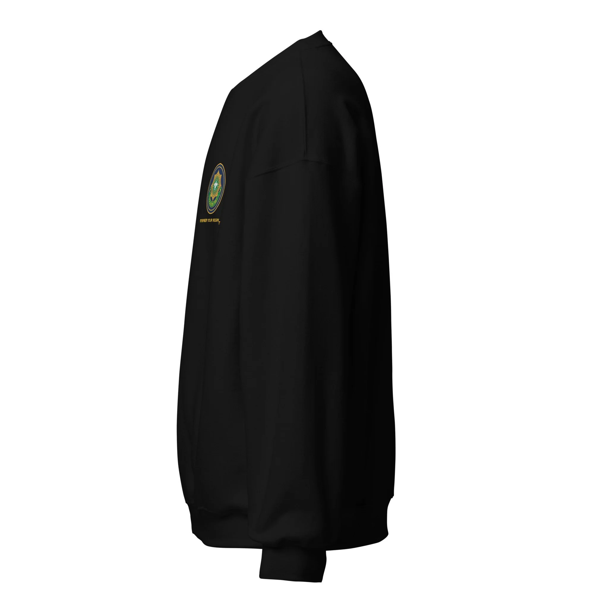 unisex-crew-neck-sweatshirt-black-left-69dd024118e23.jpg