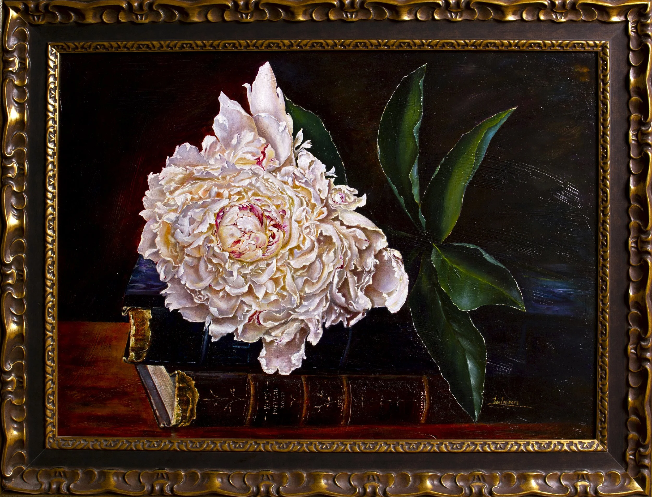 In the Shadows of an Antique Study