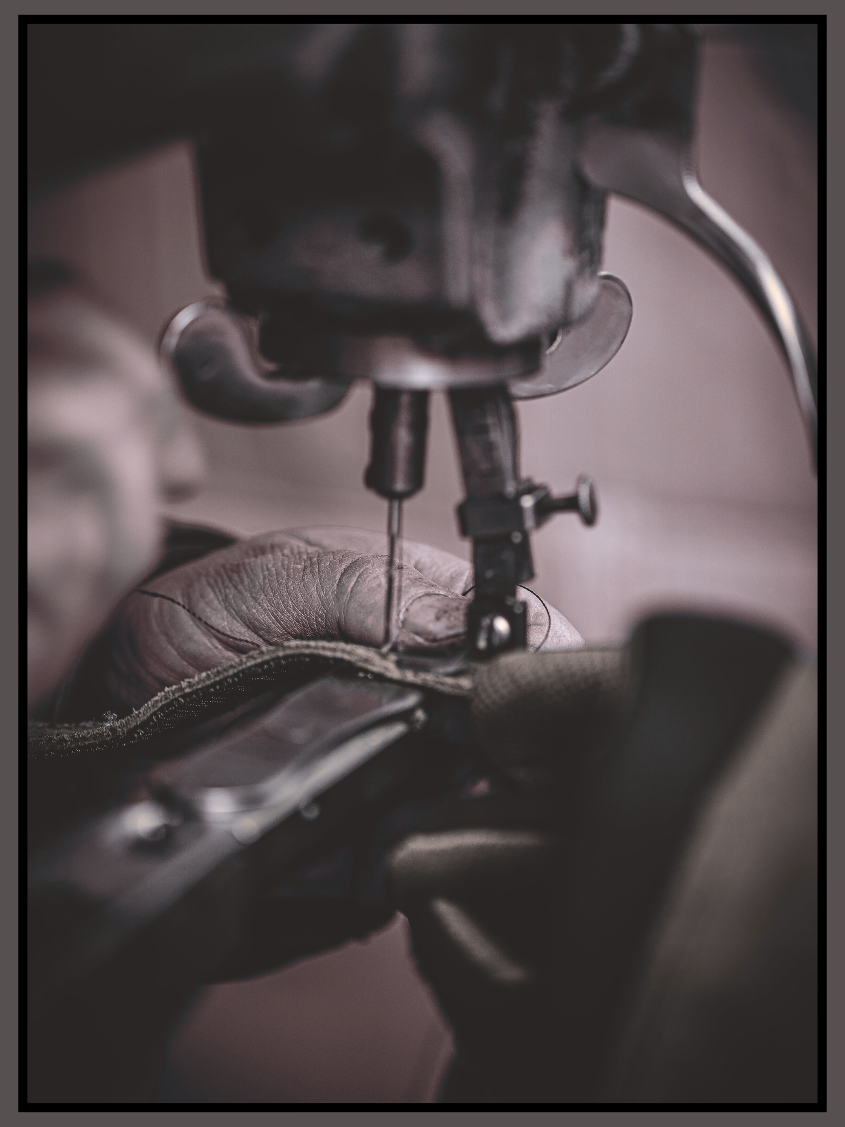 The Tailor