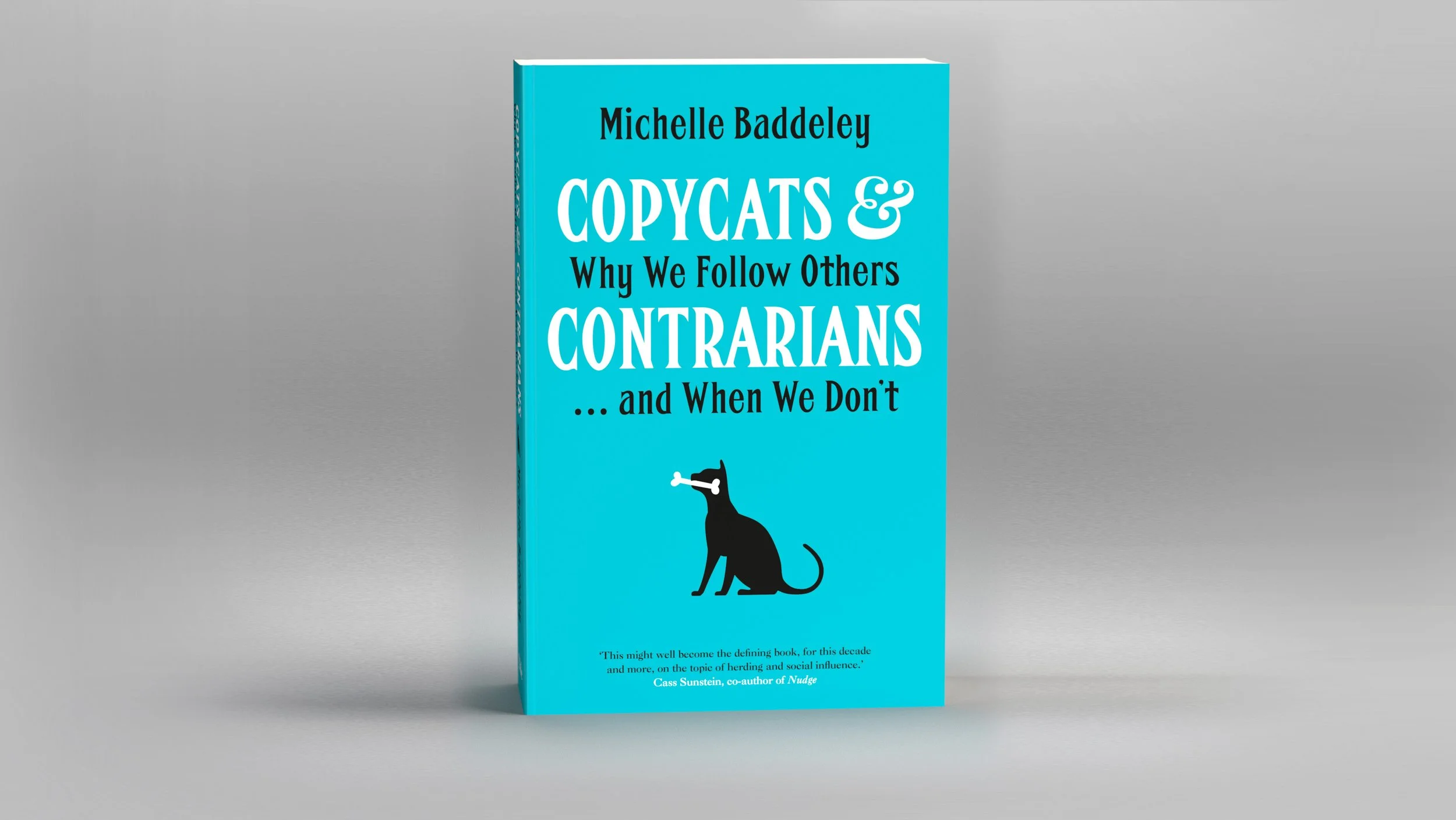 Copycats_jkt.jpg