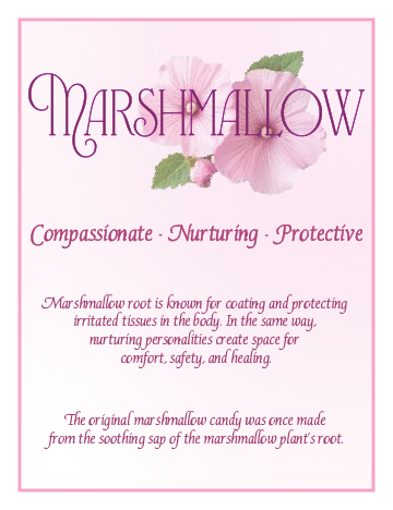 Pink packaging for marshmallow root candy with floral design, titled 'Marshmallow' with the words 'Compassionate, Nurturing, Protective' and a description of marshmallow root benefits.