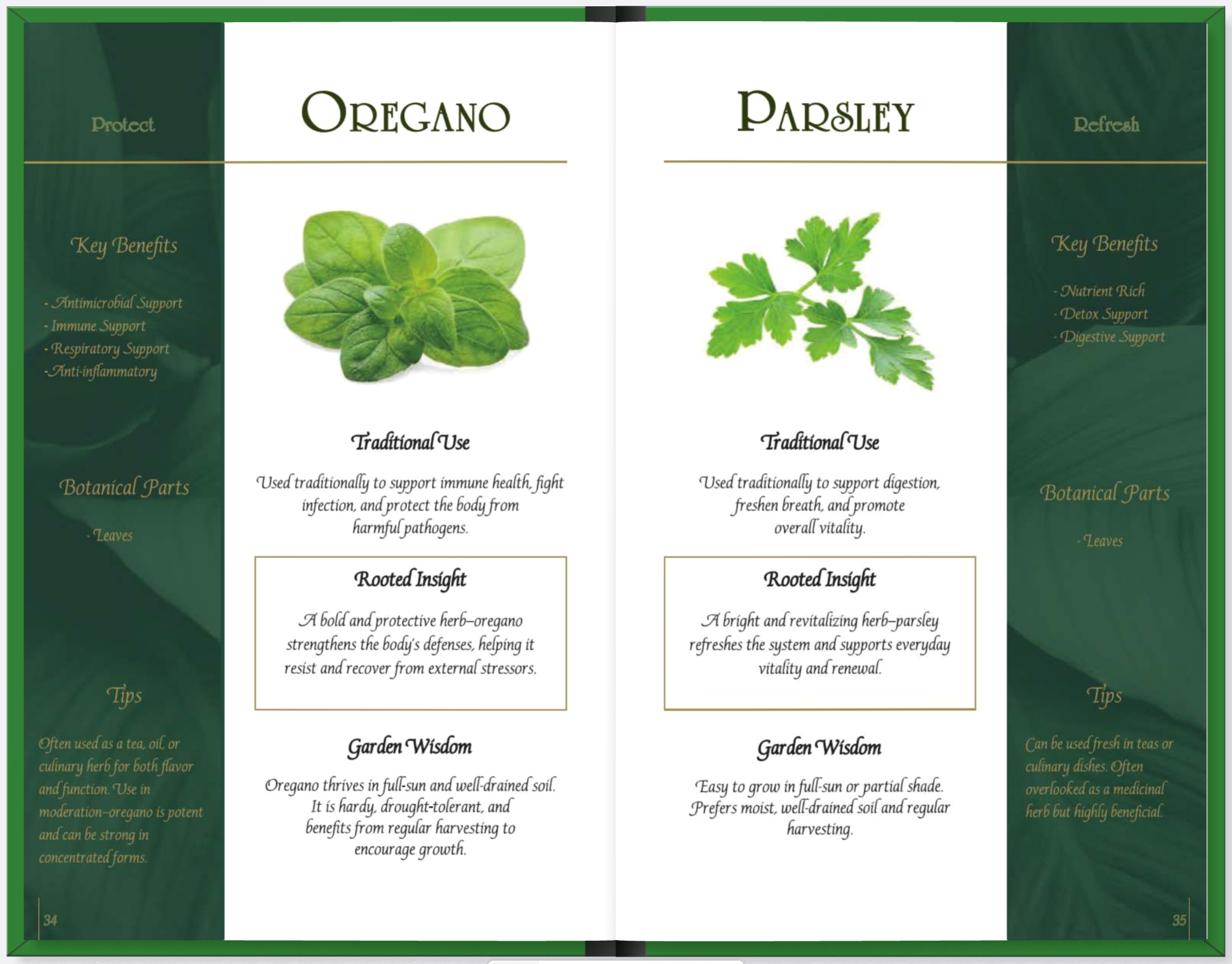 Open book displaying health benefits, botanical parts, tips, and growth wisdom for oregano and parsley herbs, with images of each plant on each page.