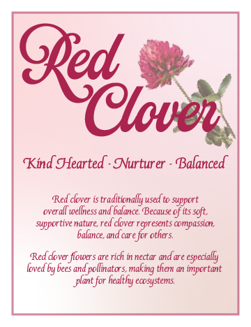 Flyer with pink background promoting red clover, featuring an image of a pink-red clover flower and text about its benefits for wellness, balance, and ecological support.