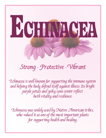 A label featuring the word 'Echinacea' with images of pink echinacea flowers and descriptive text highlighting health benefits.