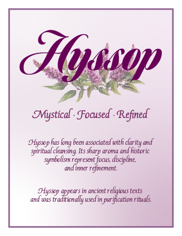Information about Hyssop, describing it as mystical, focused, and refined, with a brief history of its association with clarity, spiritual cleansing, ancient religious texts, and purification rituals.
