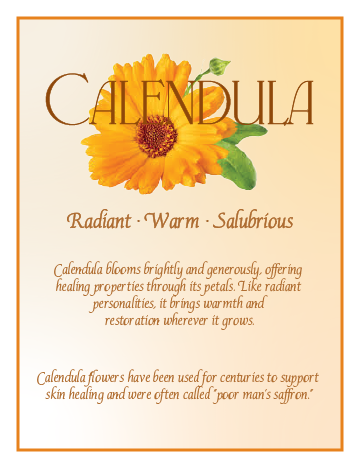 Informational poster about calendula featuring a bright yellow flower with green leaves, describing its radiant, warm, and salubrious properties.