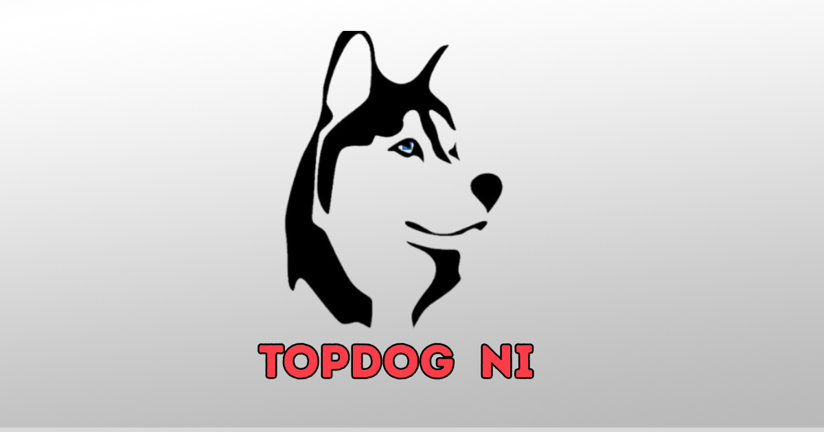 TopDog NI : Award Winning Grooming &amp; Luxury Boarding in Northern Ireland