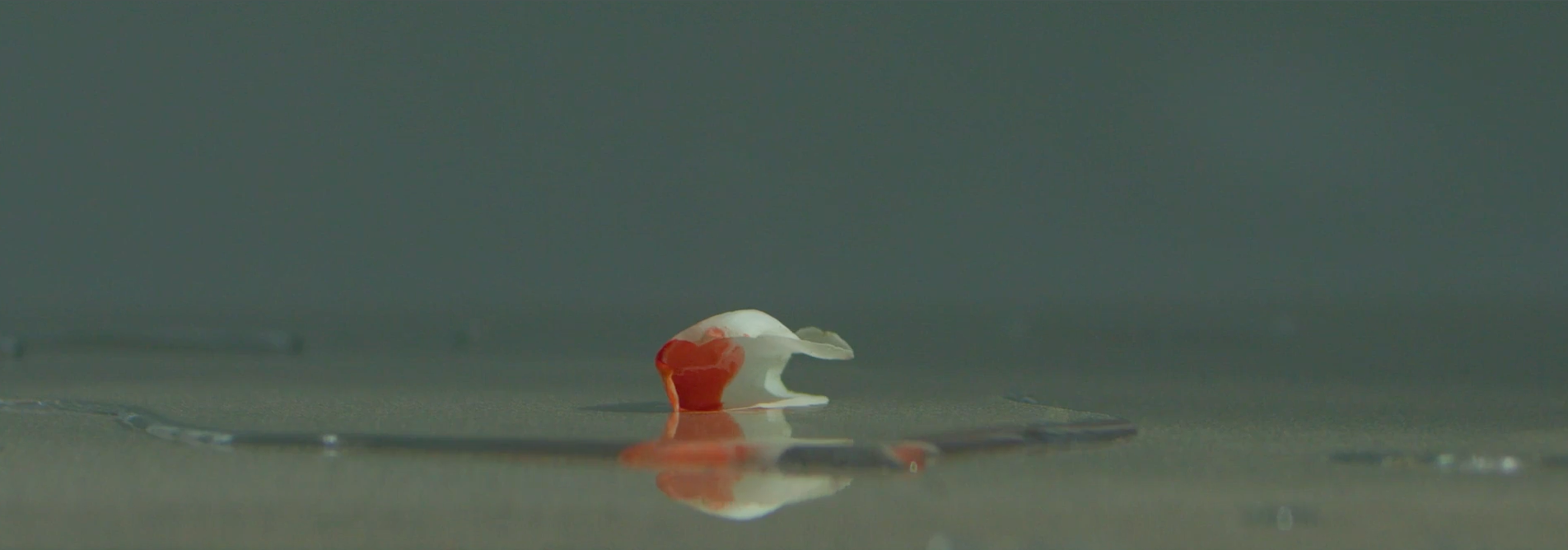 Screenshot 2026-04-13 at 3.17.09 PM.png