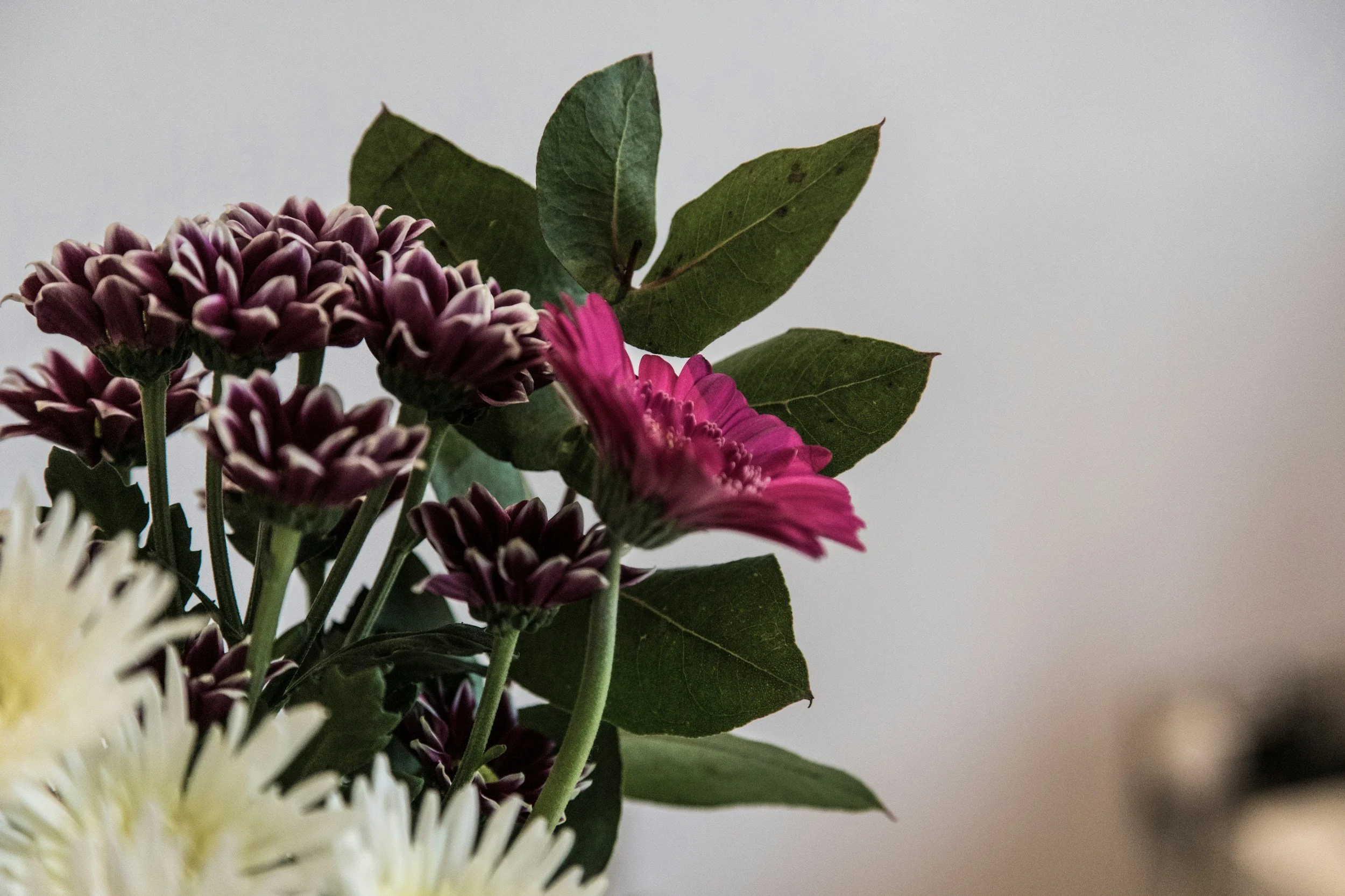 Close-up of a bouquet with purple, pink, and white flowers and green leaves against a plain background.