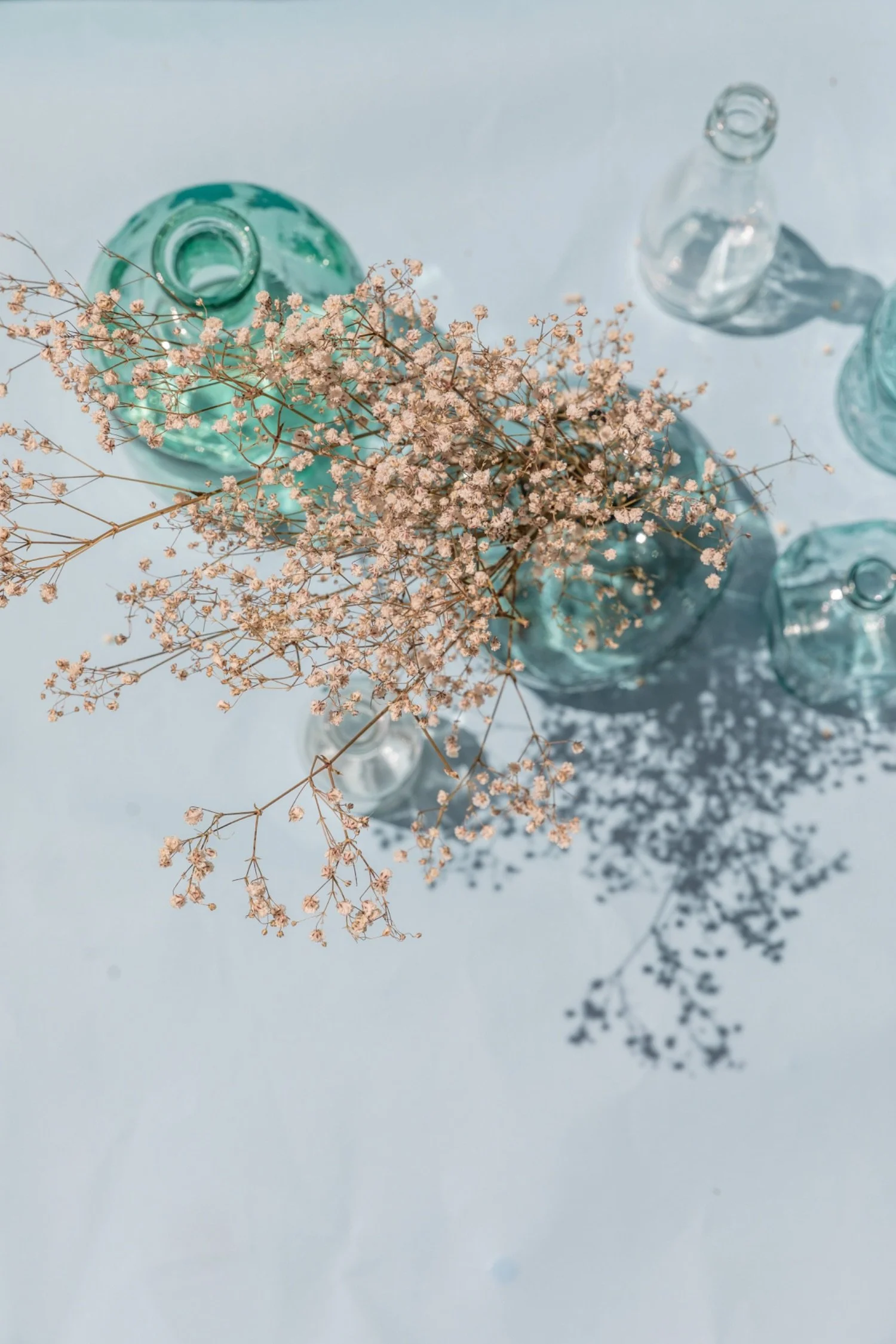 Top-down view of a white surface with a clear glass vase of light pink dried baby's breath flowers, empty glass bottles, and their shadows cast on the surface.