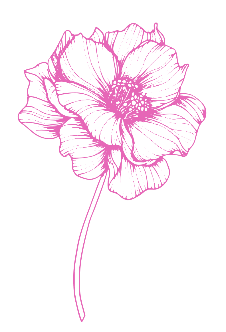 A pink outline drawing of a poppy flower on a black background.