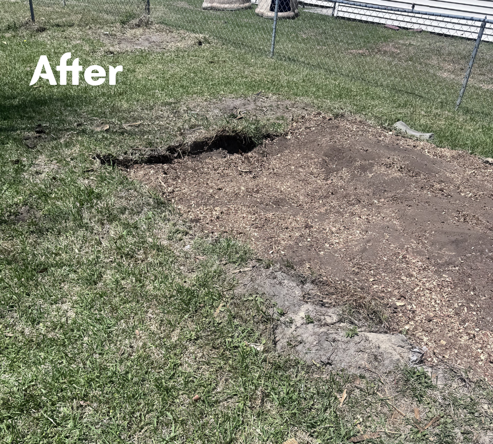 A backyard with a large patch of dug-up soil near a chain-link fence and a house with siding in the background, labeled 'After'.