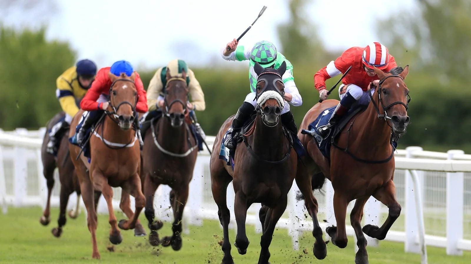 Jockeys riding horses in a horse race, racing on a grass track with a white railing on the side.