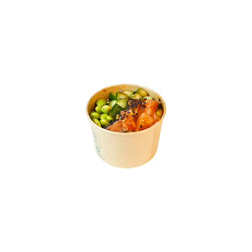 Poké Bowl ZALM - S copy_500x500.png