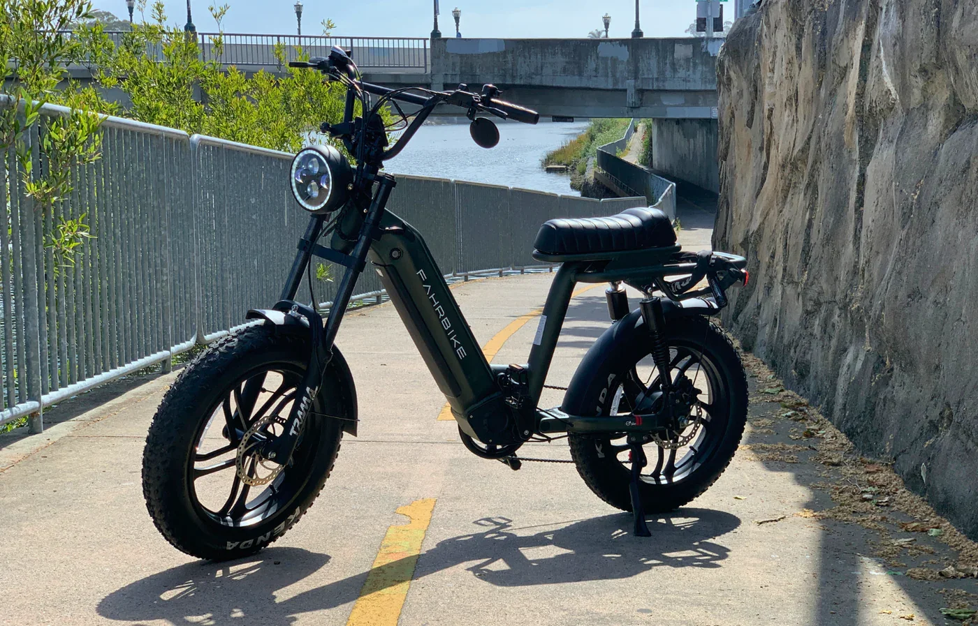 Fahrbike Roadster73 Plus_ebike.webp
