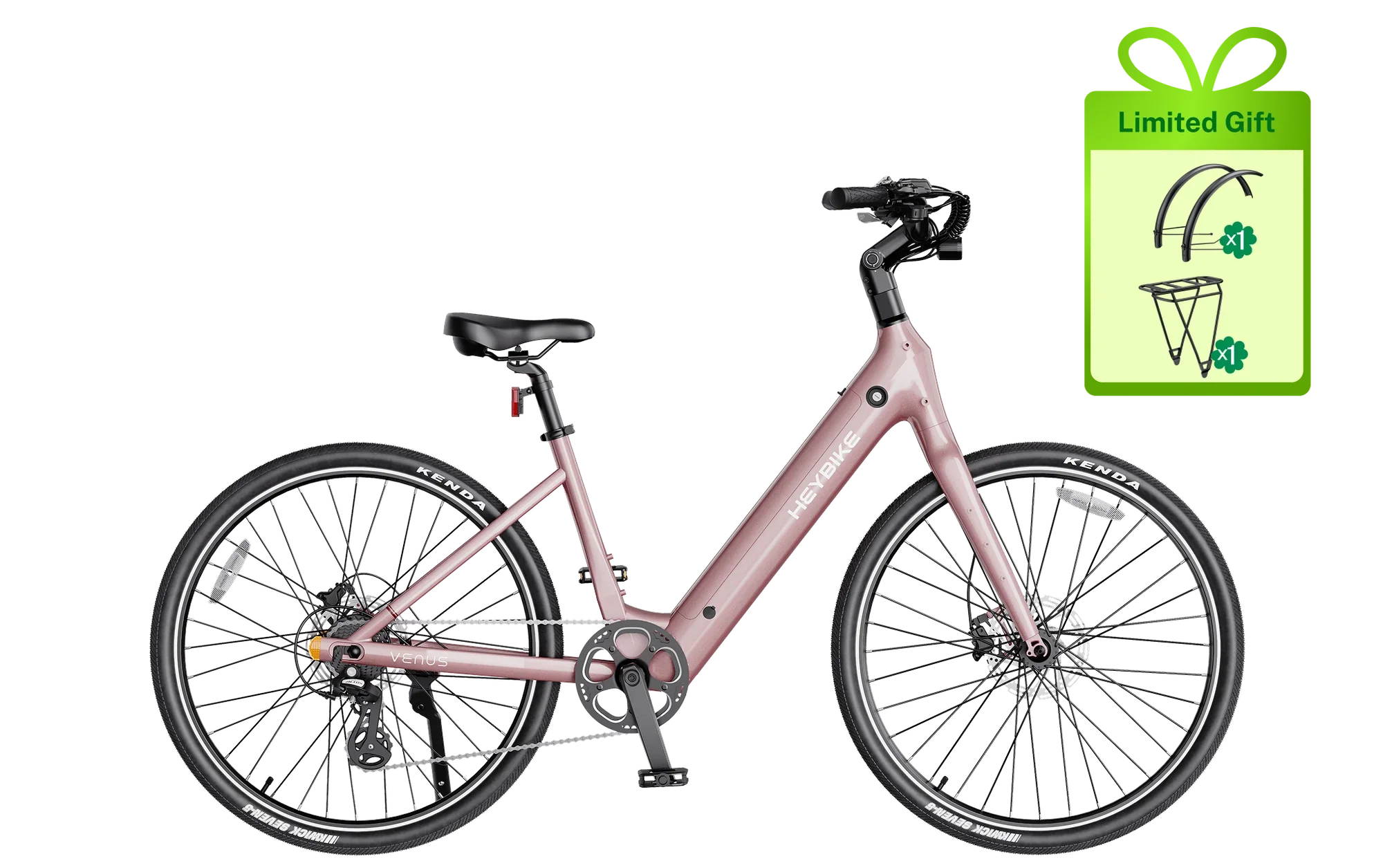 Venus Pink.webp