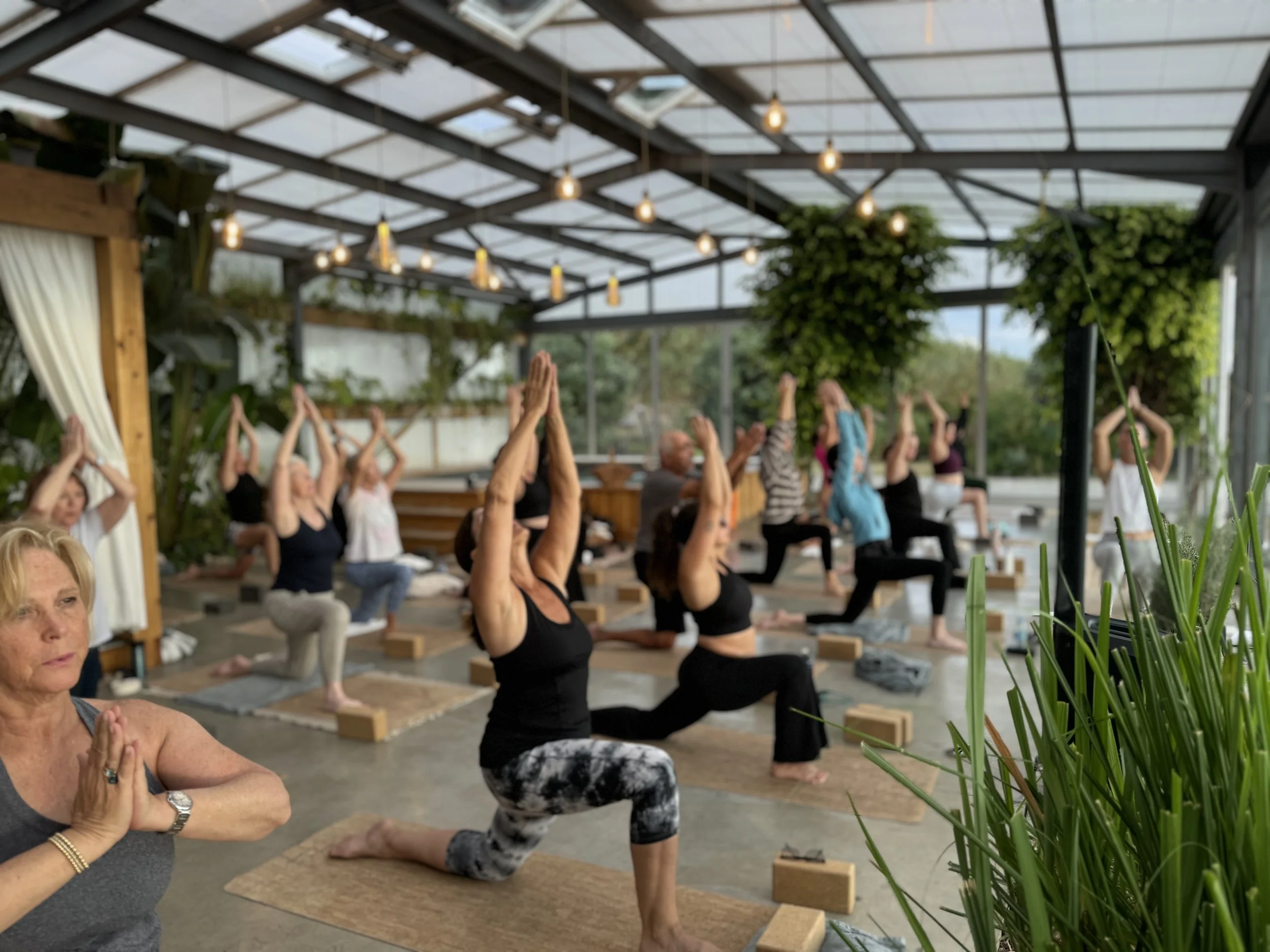 People participating in a yoga or meditation class inside a greenhouse with glass ceiling and hanging lights, practicing poses with hands in prayer position and raising arms.