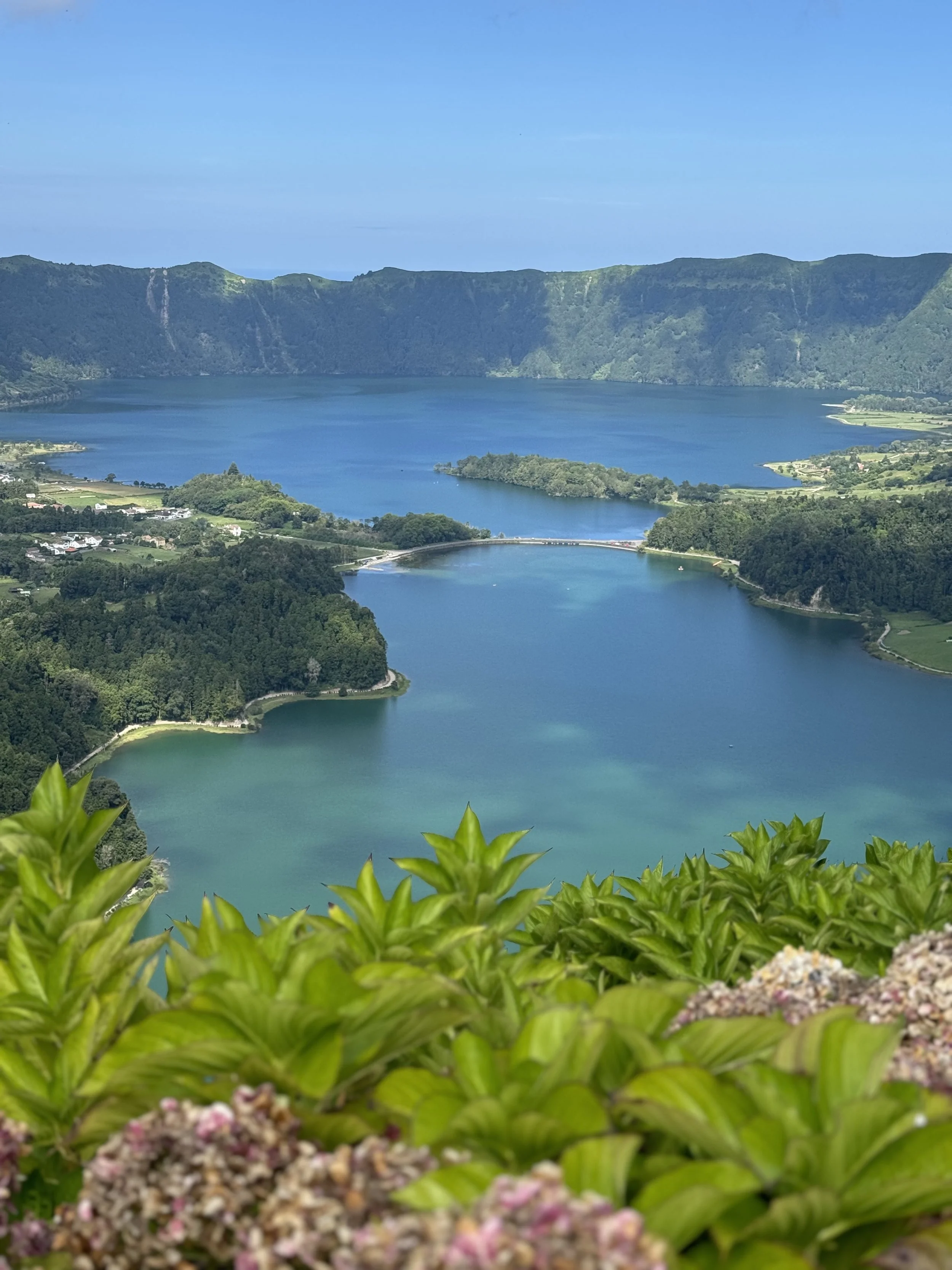 A scenic view of a large, calm lake surrounded by green hills and mountains in the background, with trees and bushes in the foreground.