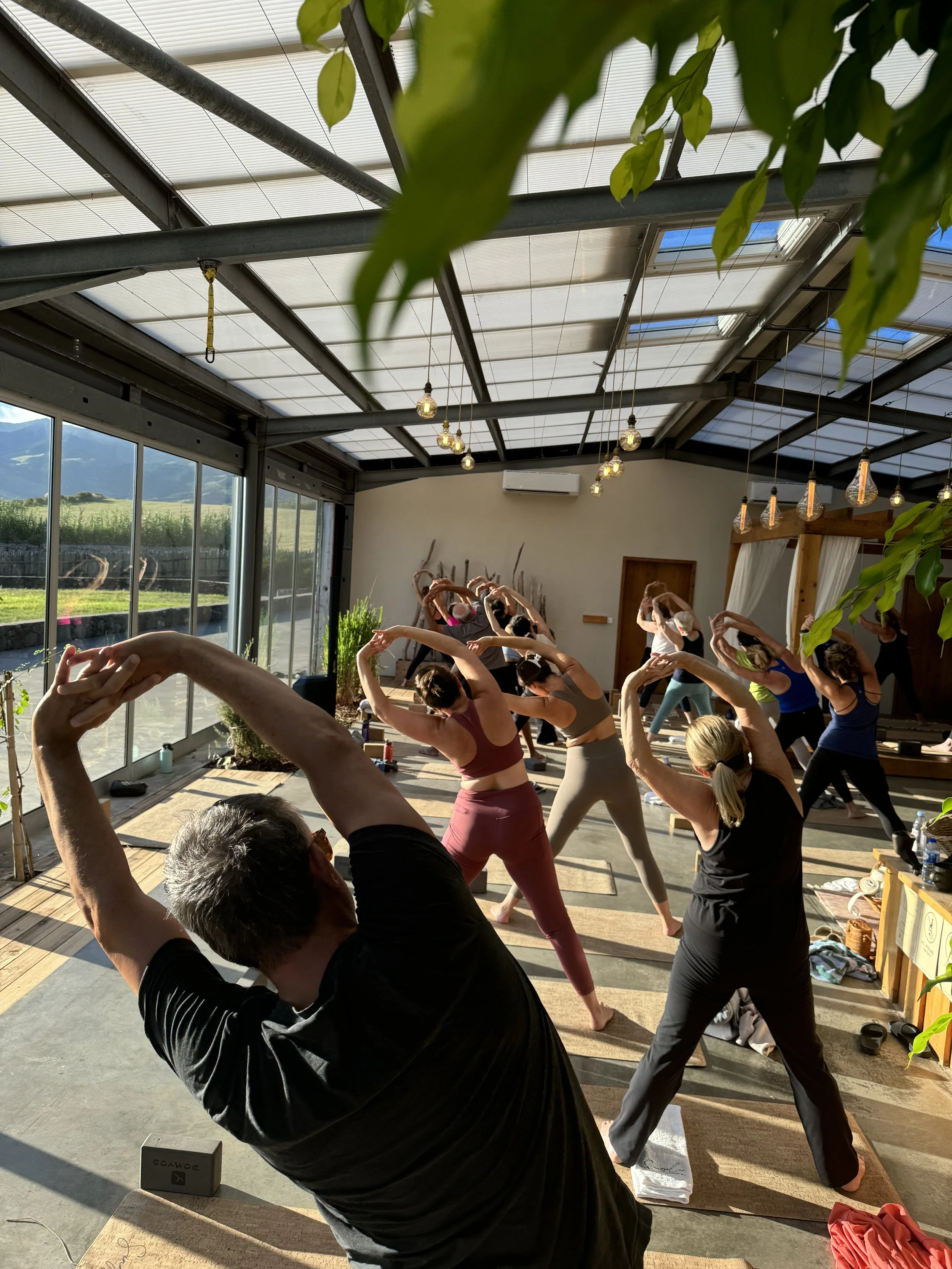 People participating in a group yoga class inside a sunlit studio with large windows, greenery outside, and warm lighting hanging from the ceiling.