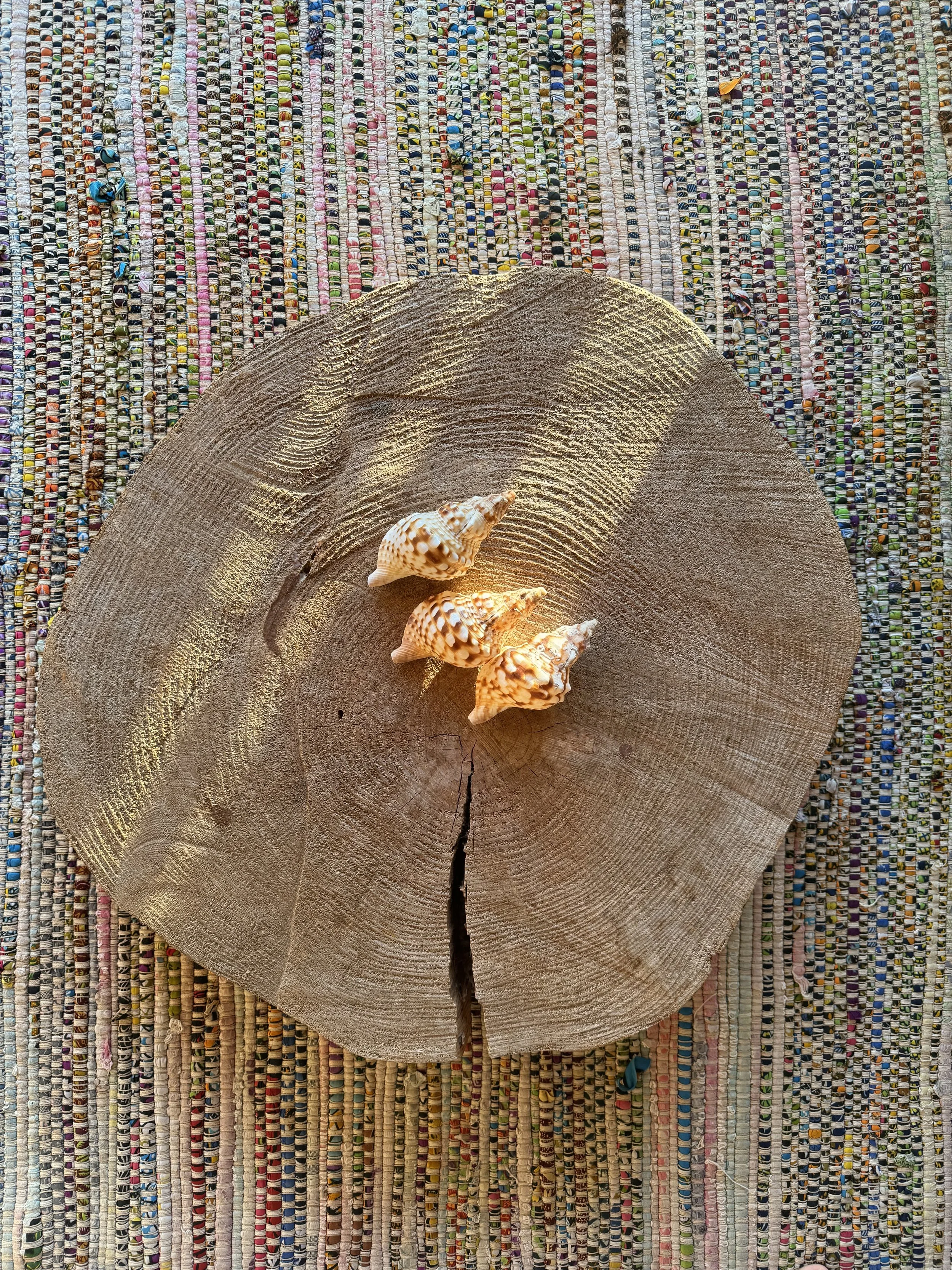 A wooden slice with three seashells placed on it, set on a colorful woven rug.