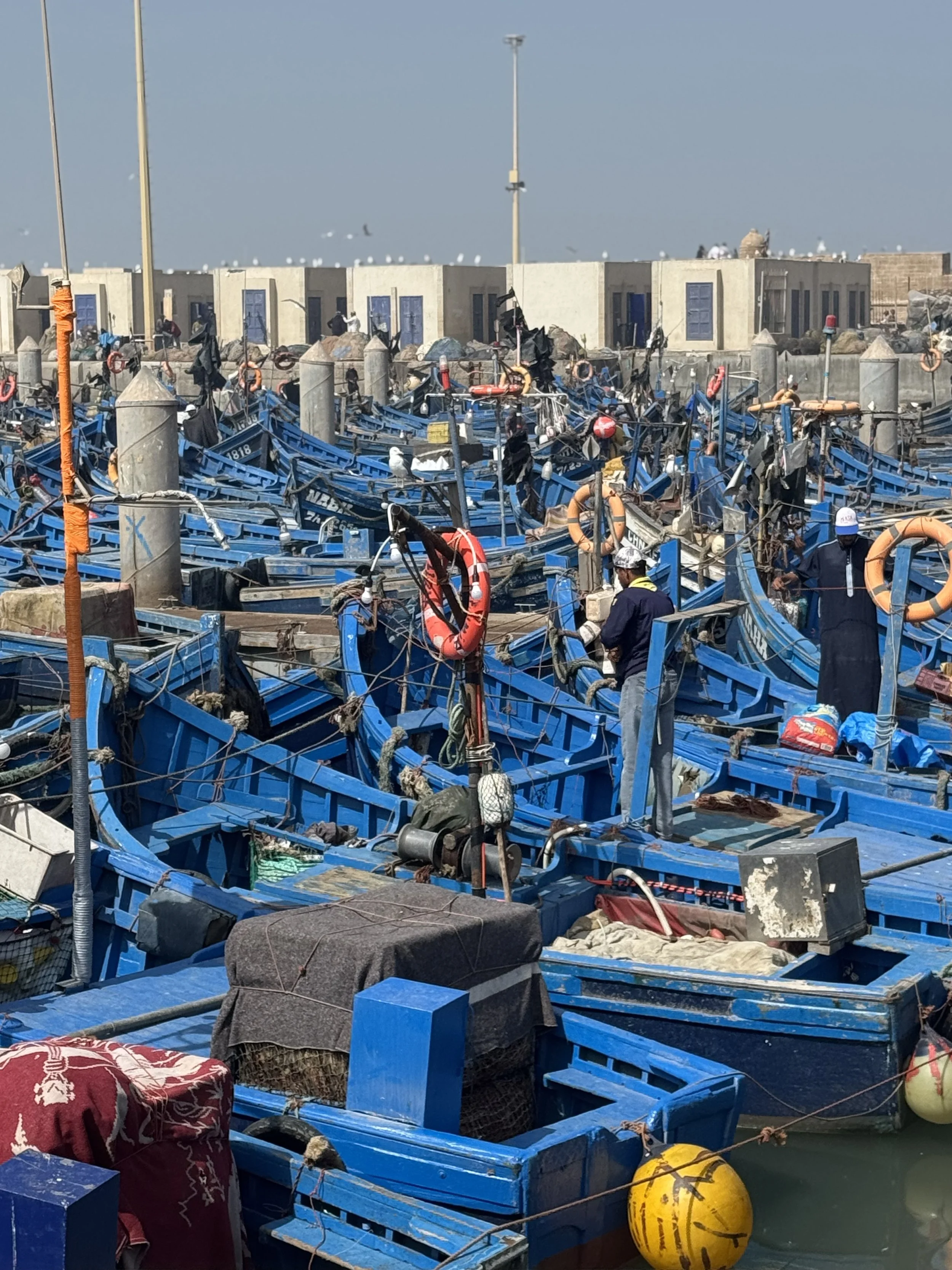 A marina with numerous blue fishing boats docked. Some boats appear to be damaged or sunken. People are walking among the boats, and several life rings are hanging on the boats. In the background, there are buildings with blue doors and windows, and 