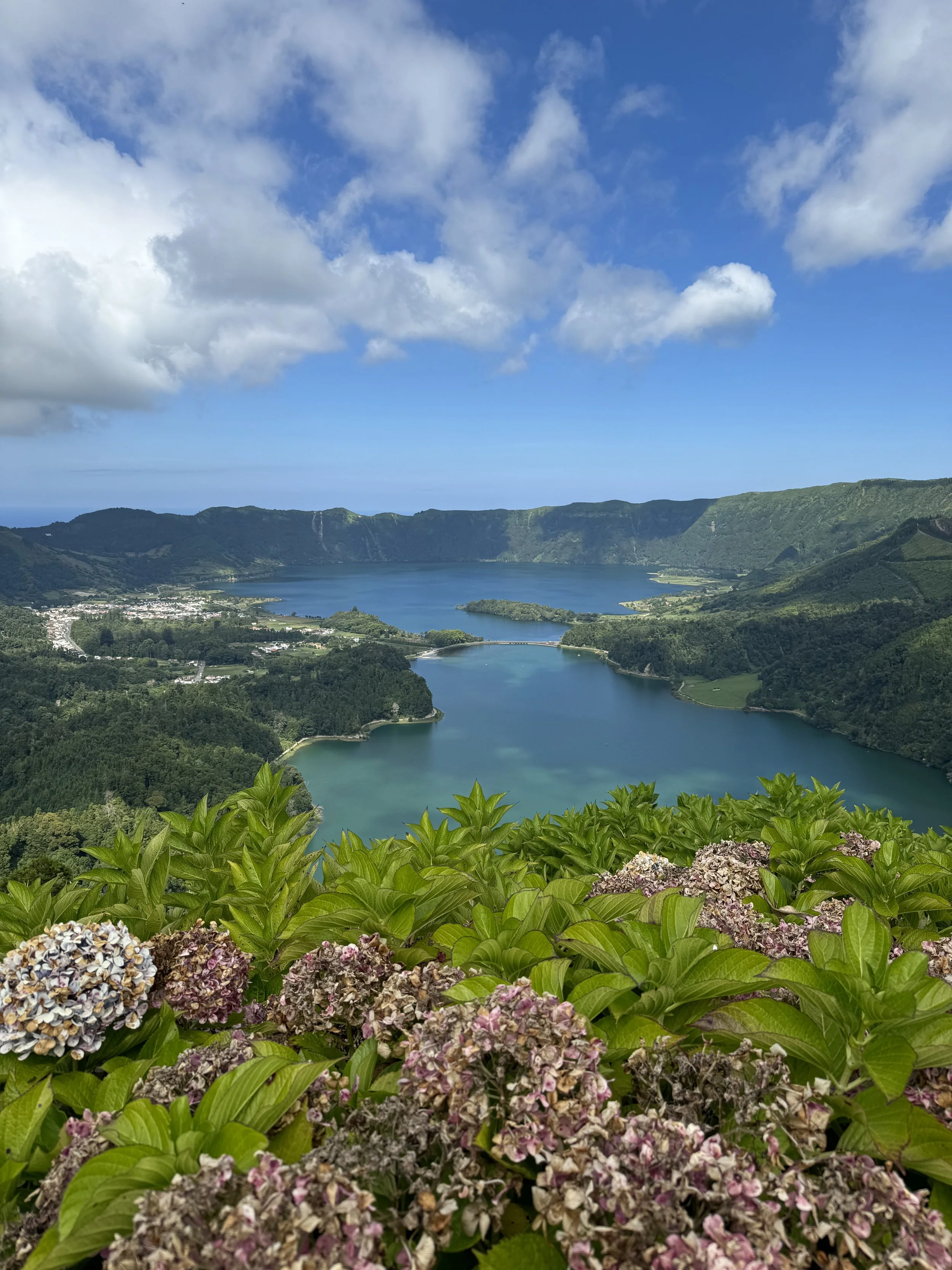 A scenic view of a large lake surrounded by green hills and a small town, with blue sky and fluffy clouds overhead.