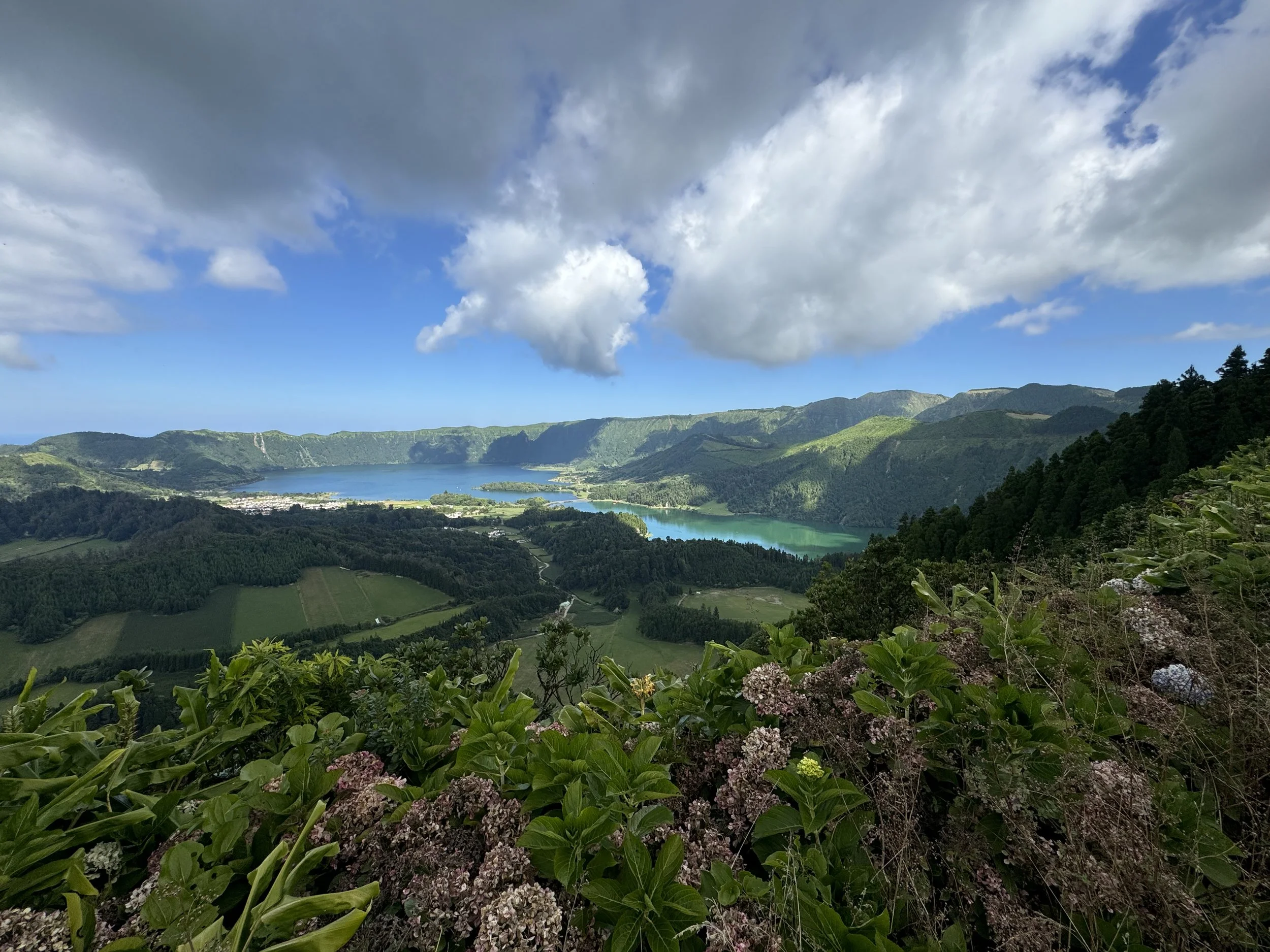 A scenic view of a large lake surrounded by green mountains under a partly cloudy sky, with lush vegetation in the foreground.