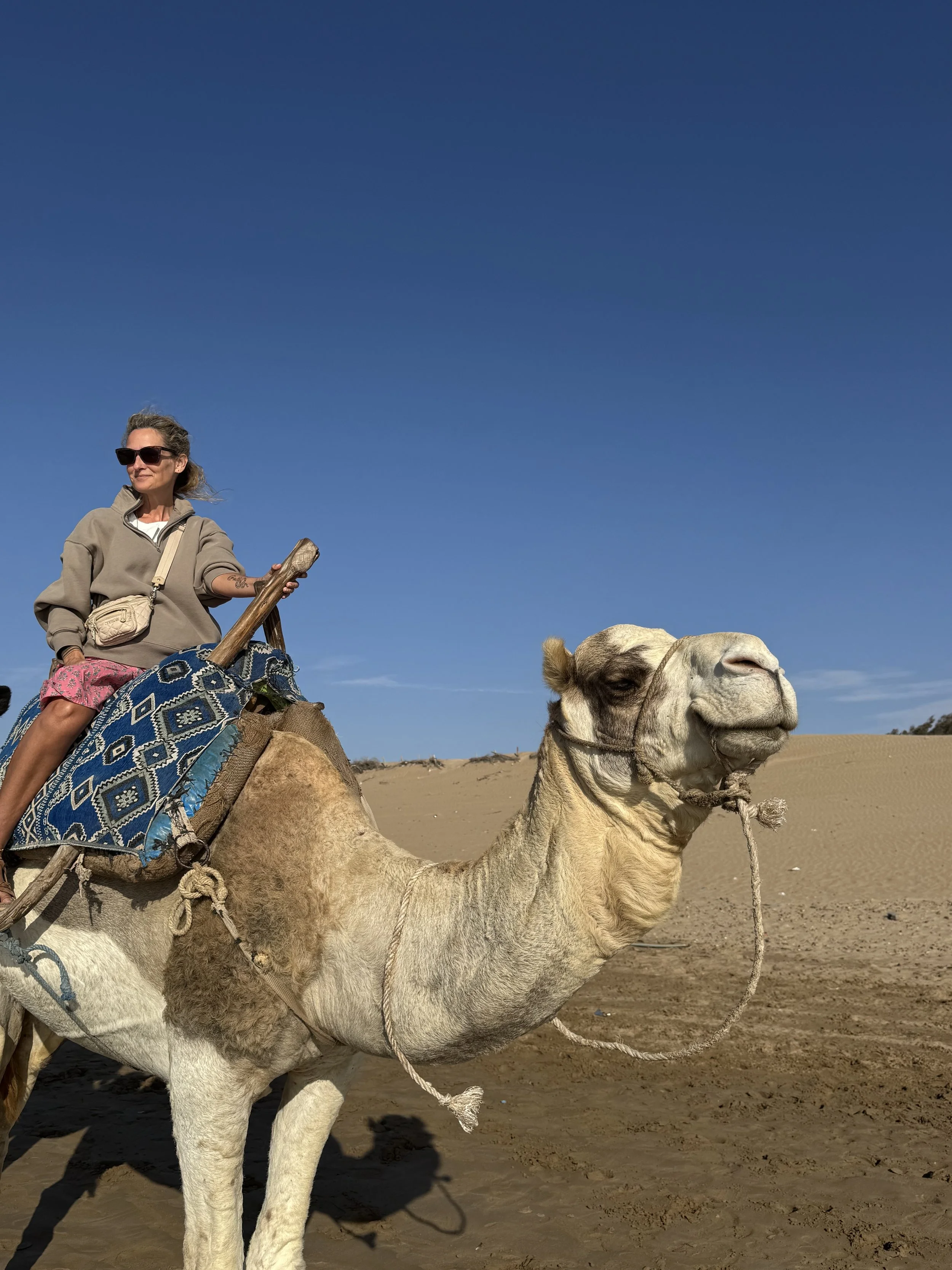 A woman riding a camel in a desert landscape with clear blue sky.