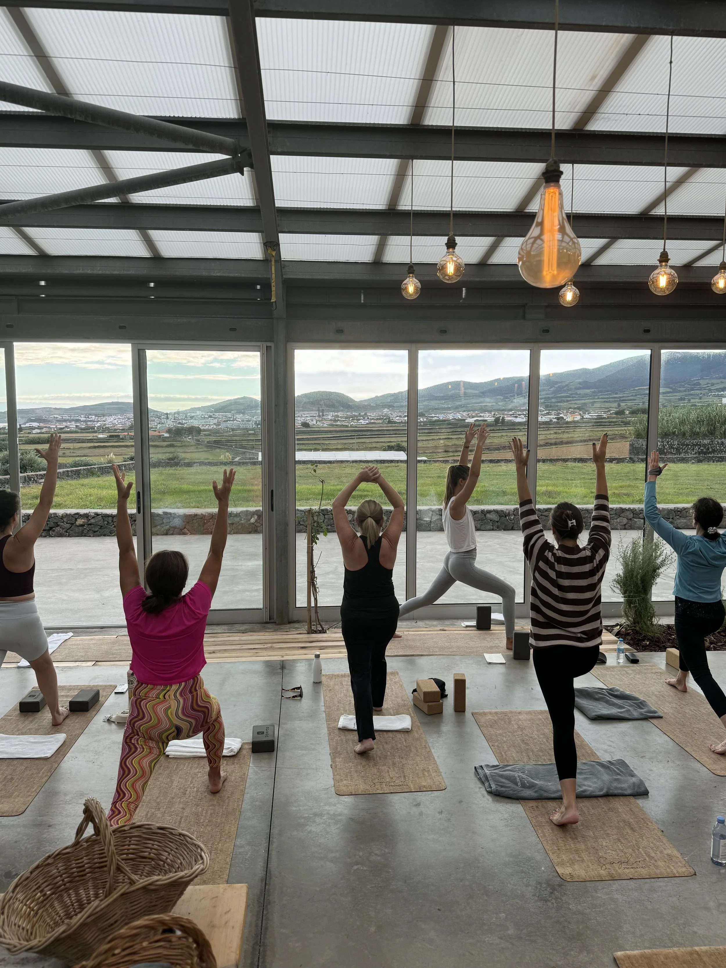 Group of people practicing yoga in a bright, spacious room with large windows showing a scenic landscape of mountains and fields. They are in various yoga poses on mats, participating in a class.