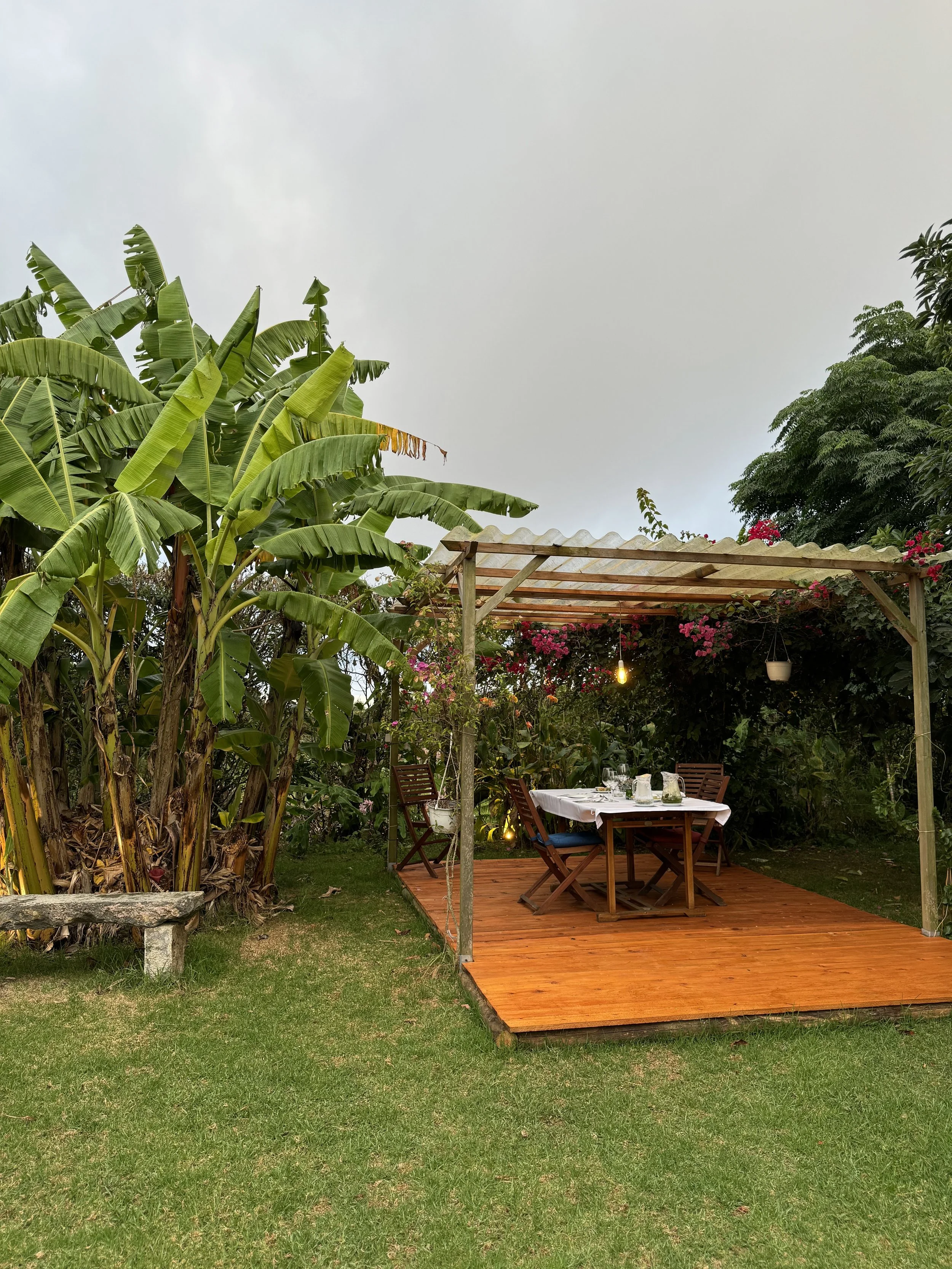 Outdoor garden with a wooden dining table set for a meal under a pergola, surrounded by lush green trees and flowering plants, with banana trees on the left.
