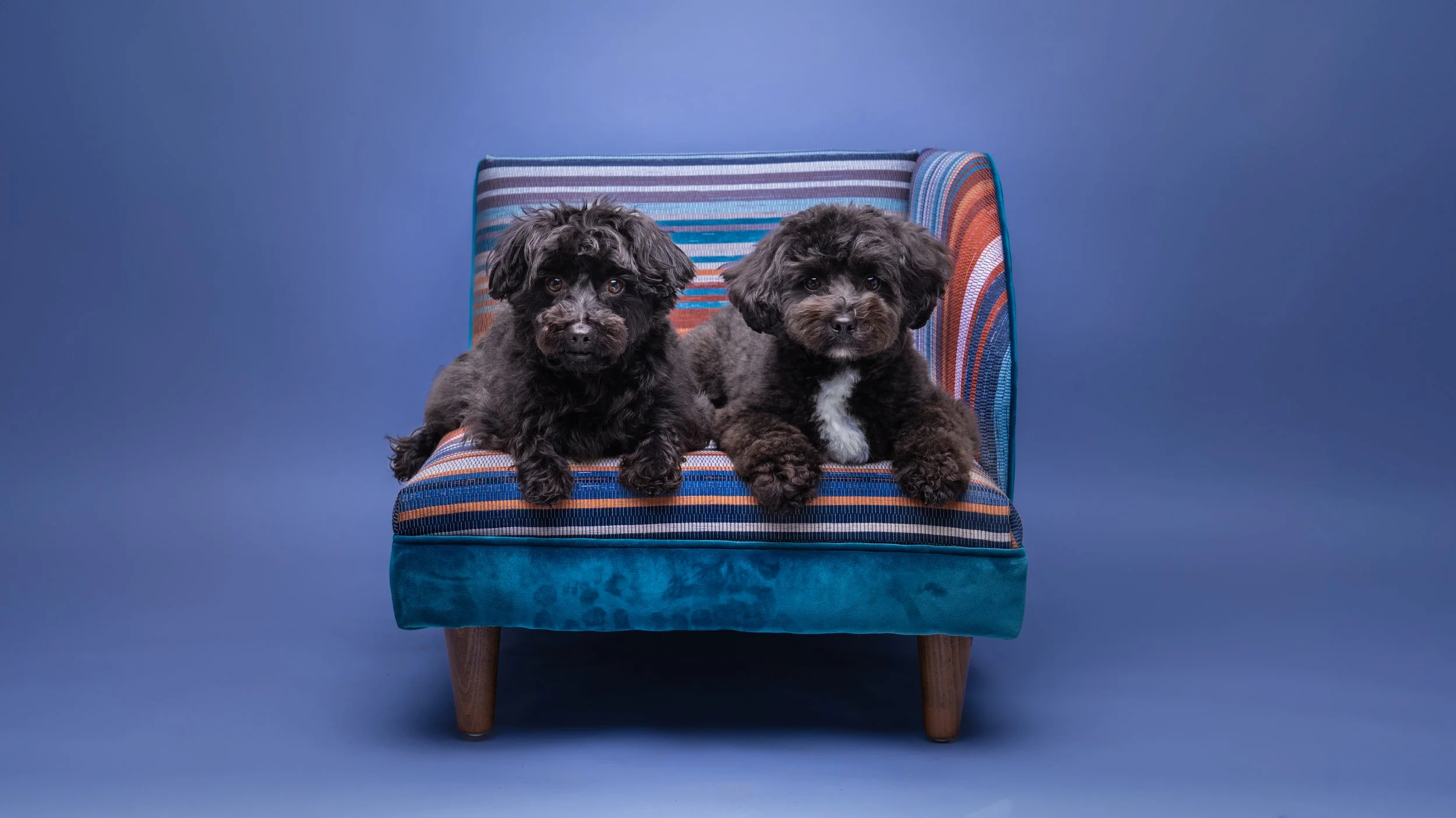 Minnie & Beryl 5.jpg