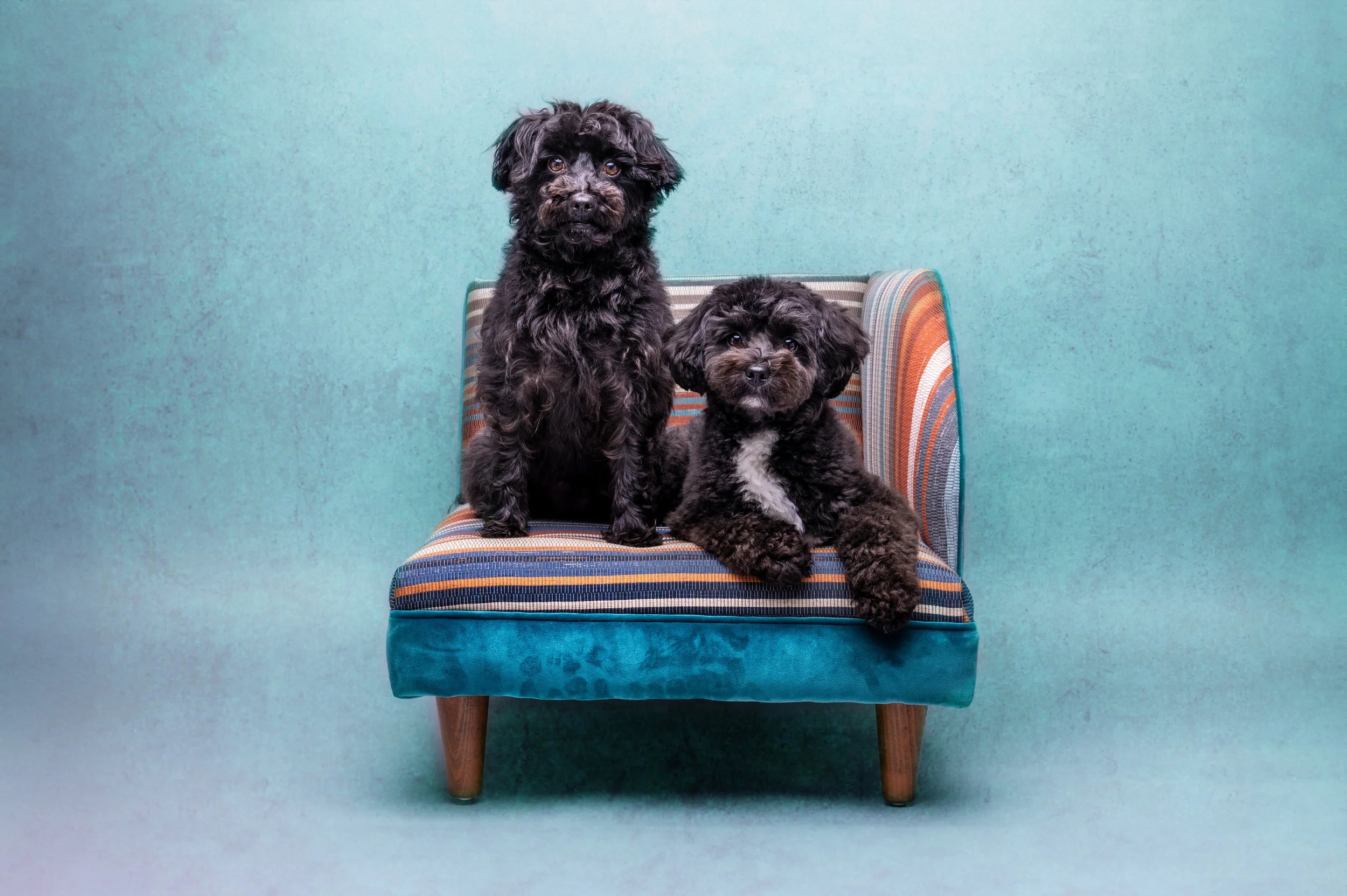Minnie & Beryl Aqua.jpg