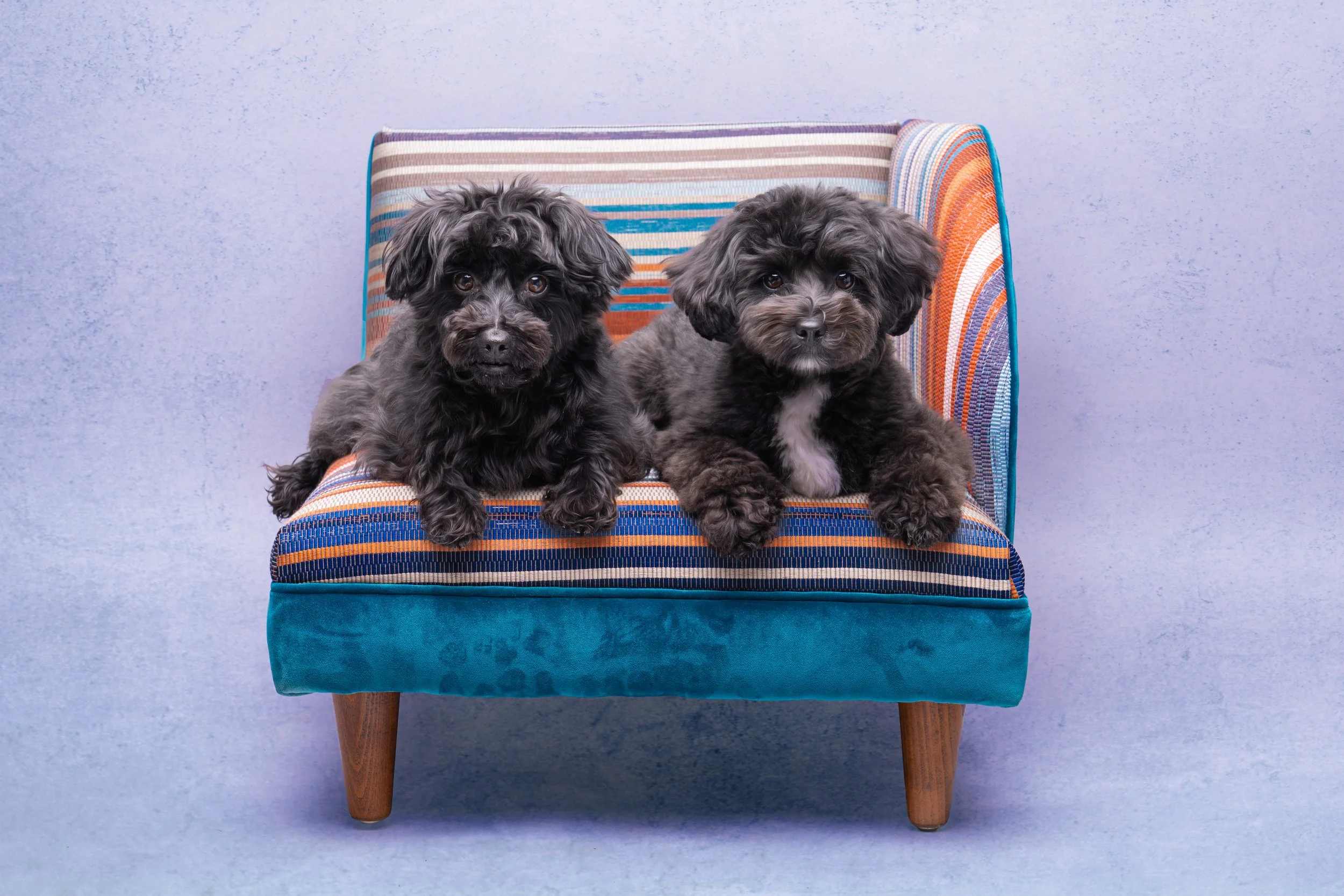 Minnie & Beryl P1.jpg
