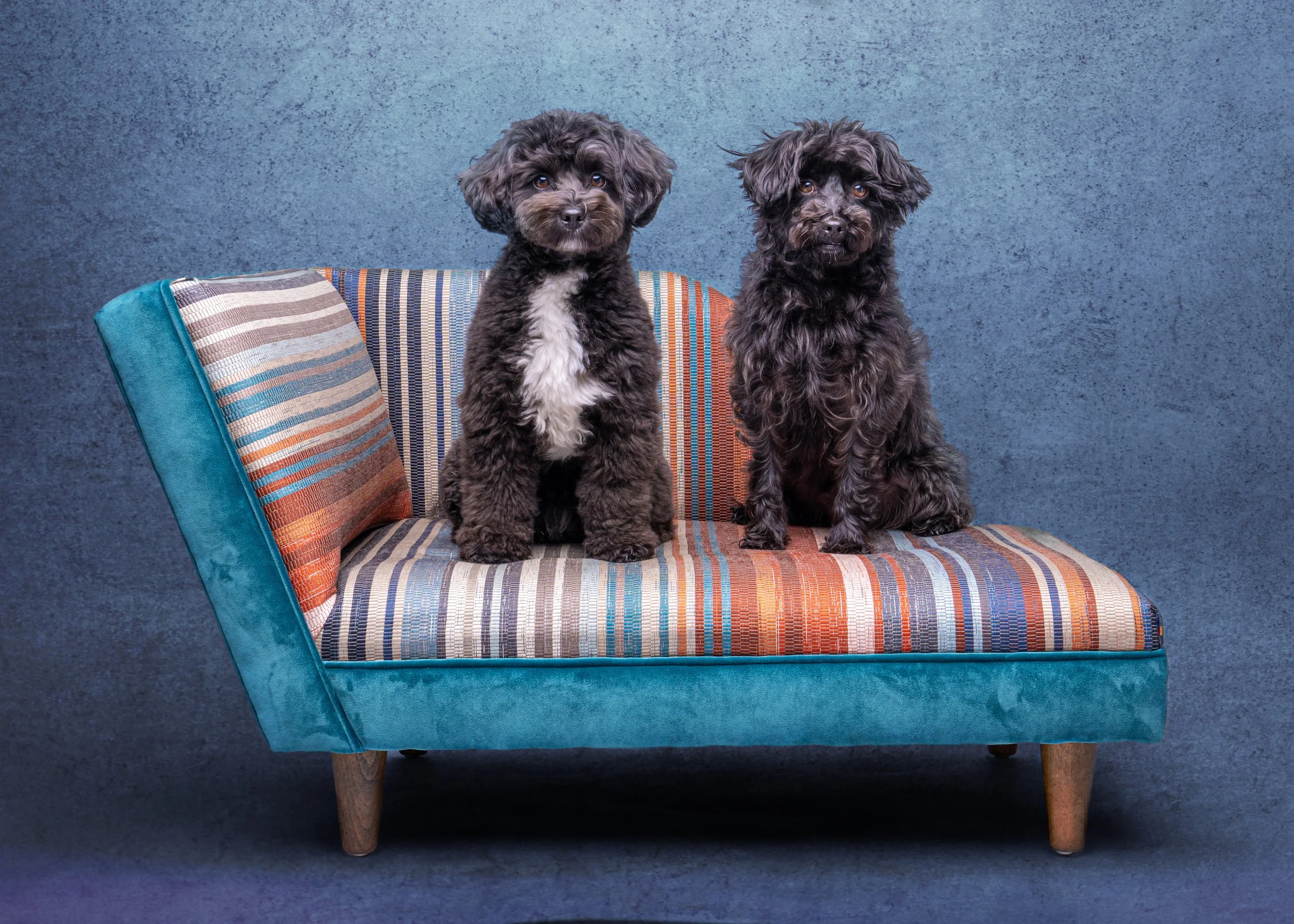 Beryl & Minnie 3 blue.jpg