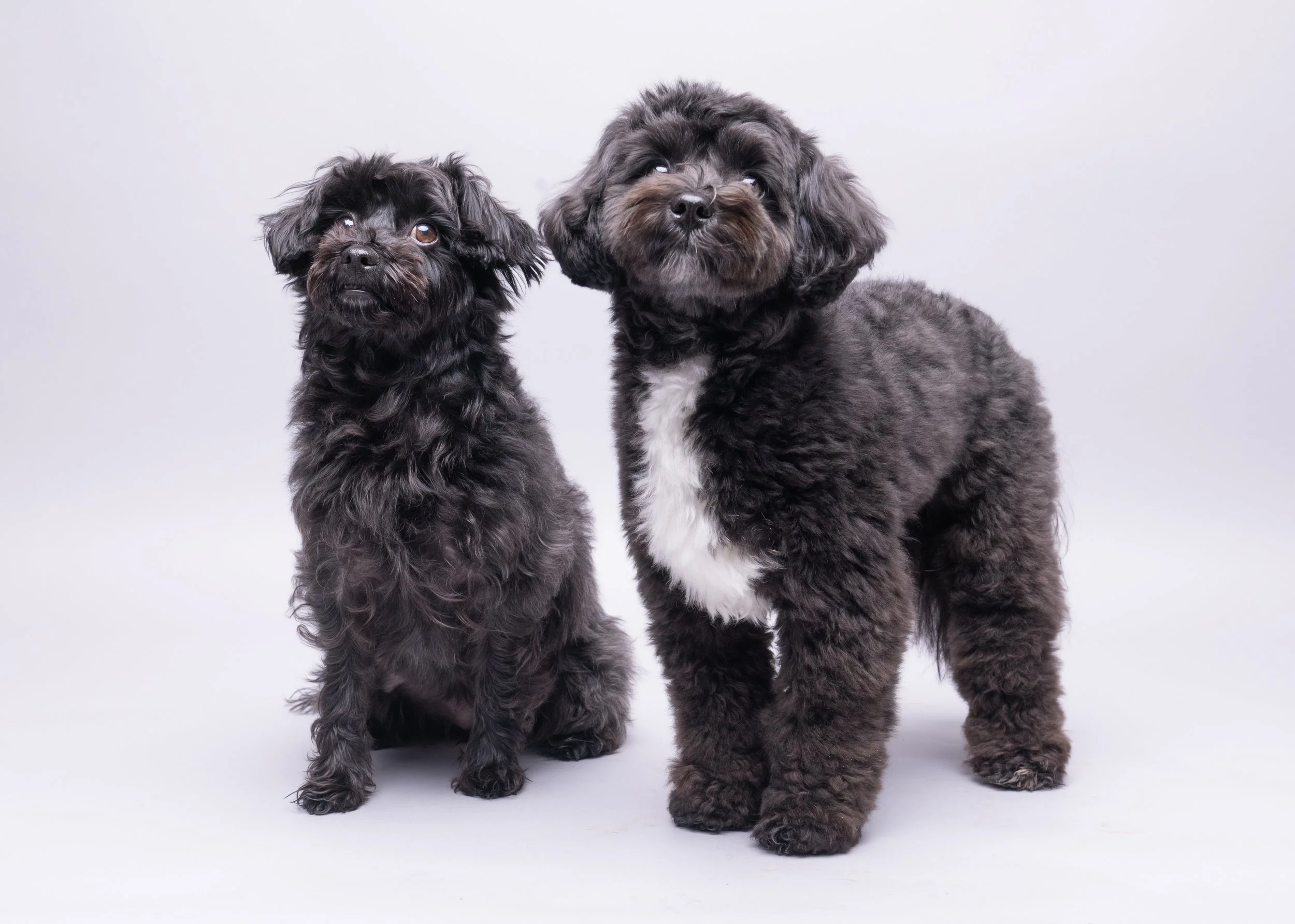 Minnie & Beryl 2.jpg
