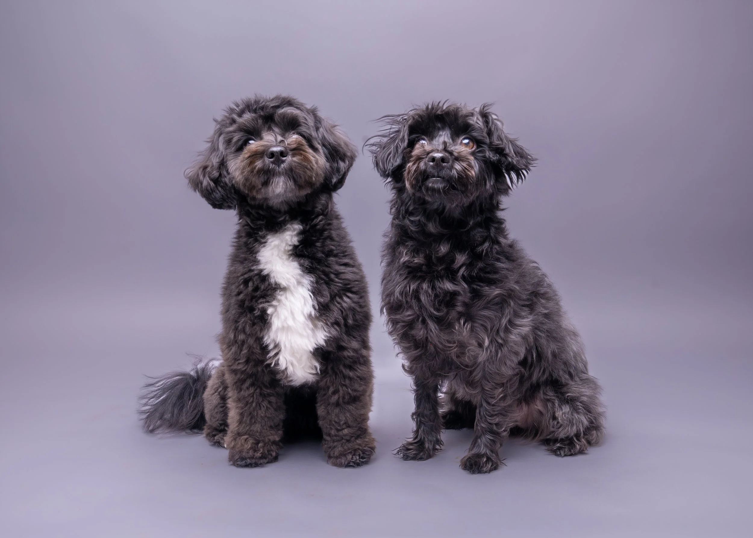 Beryl & Minnie 2.jpg