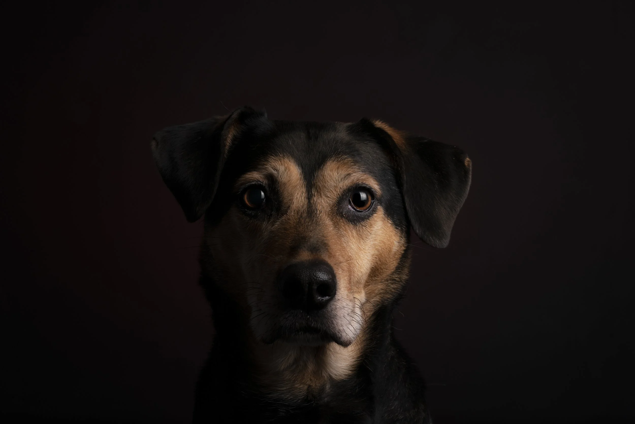 EF828106-A947-495F-8DBB-15C4CDA54D36.jpeg